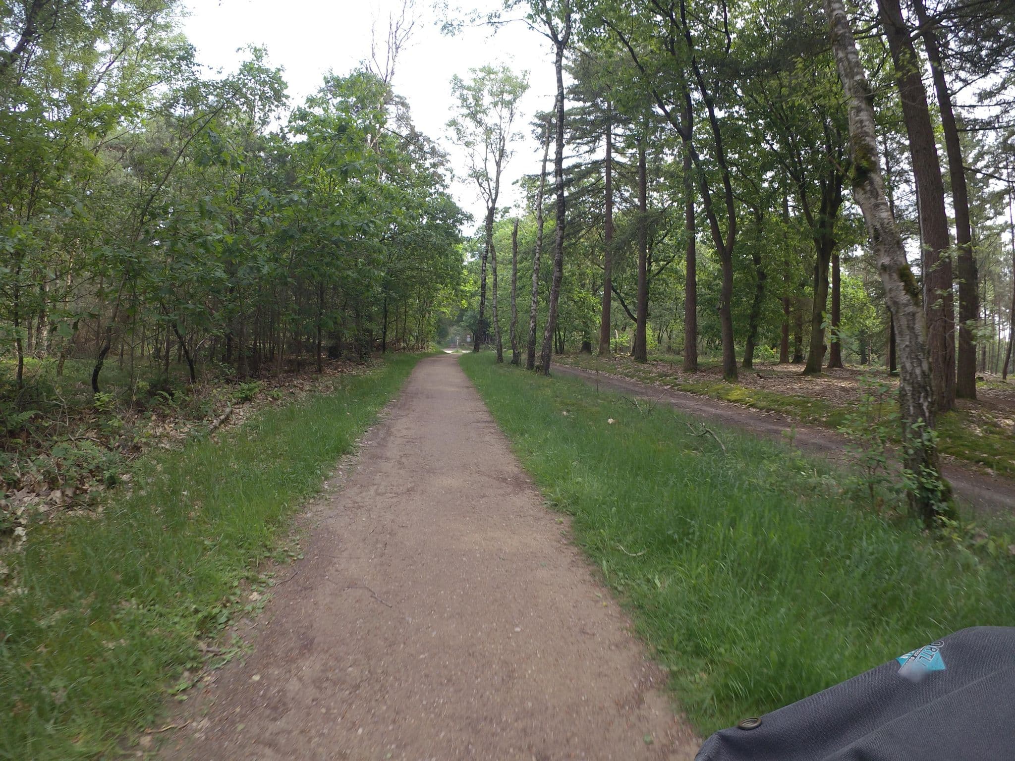 Street view near De Kleine Kolonel, Haarle — © marczoutendijk (CC BY-SA · Mapillary)