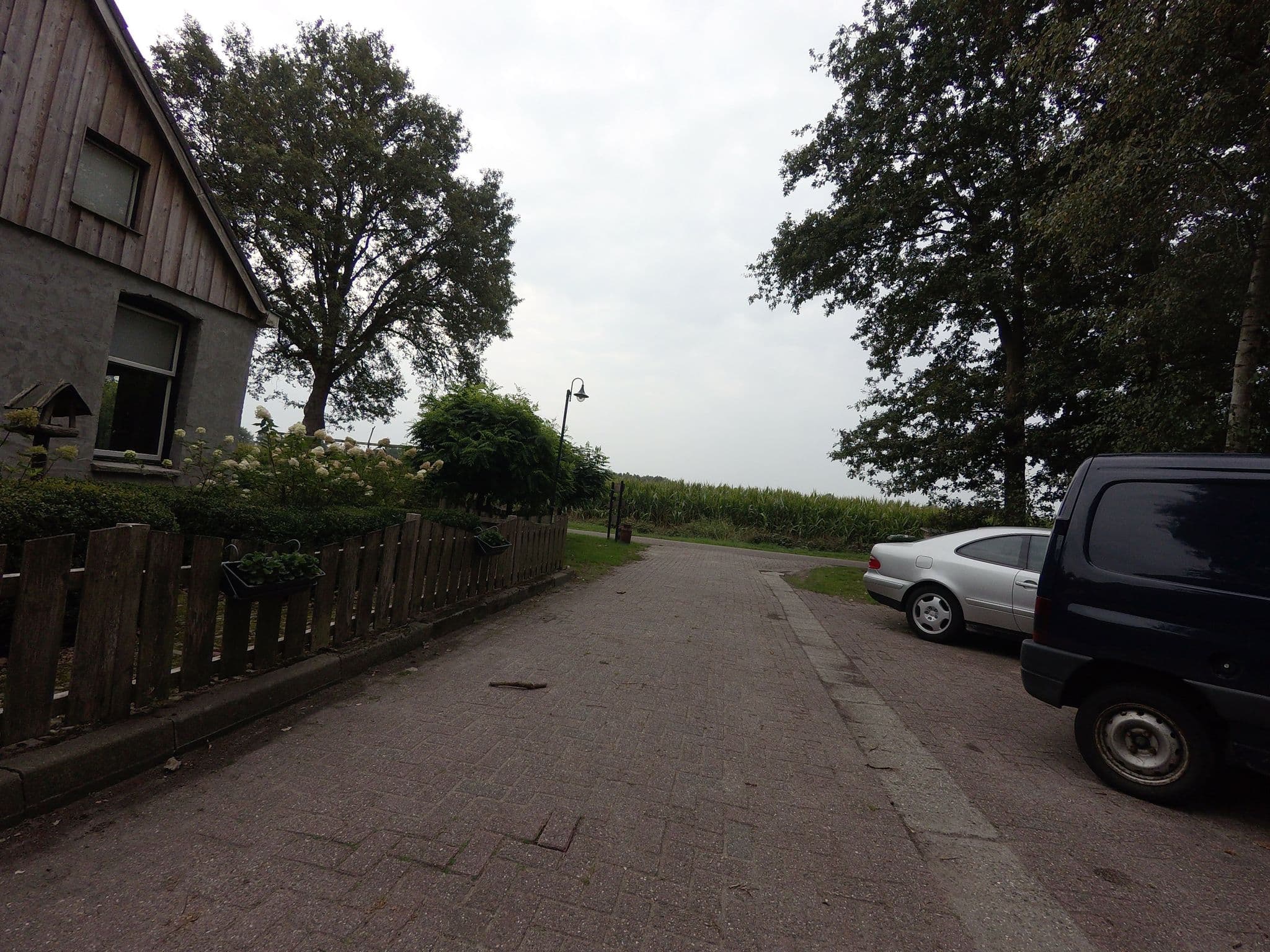 Street view near Eemsterhof, Dwingeloo — © ankeric (CC BY-SA · Mapillary)