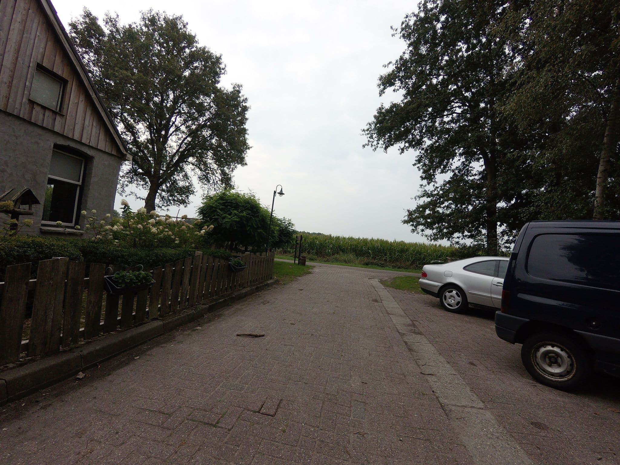Street view near Dwingelderhof, Dwingeloo — © ankeric (CC BY-SA · Mapillary)