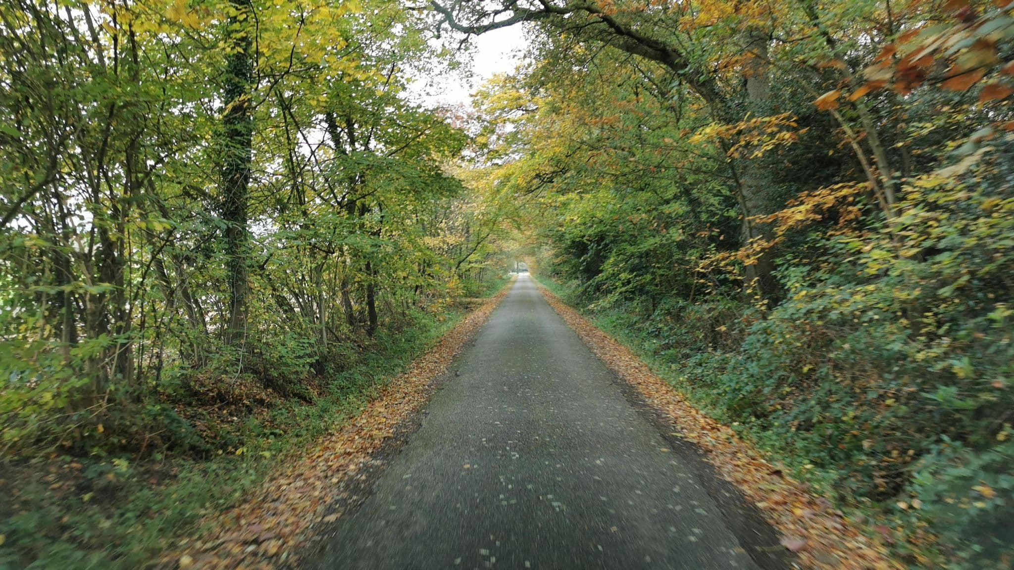 Street view near Huize Hölterhof Wellness Hotel & Restaurant, Glanerbrug — © jonrellim (CC BY-SA · Mapillary)