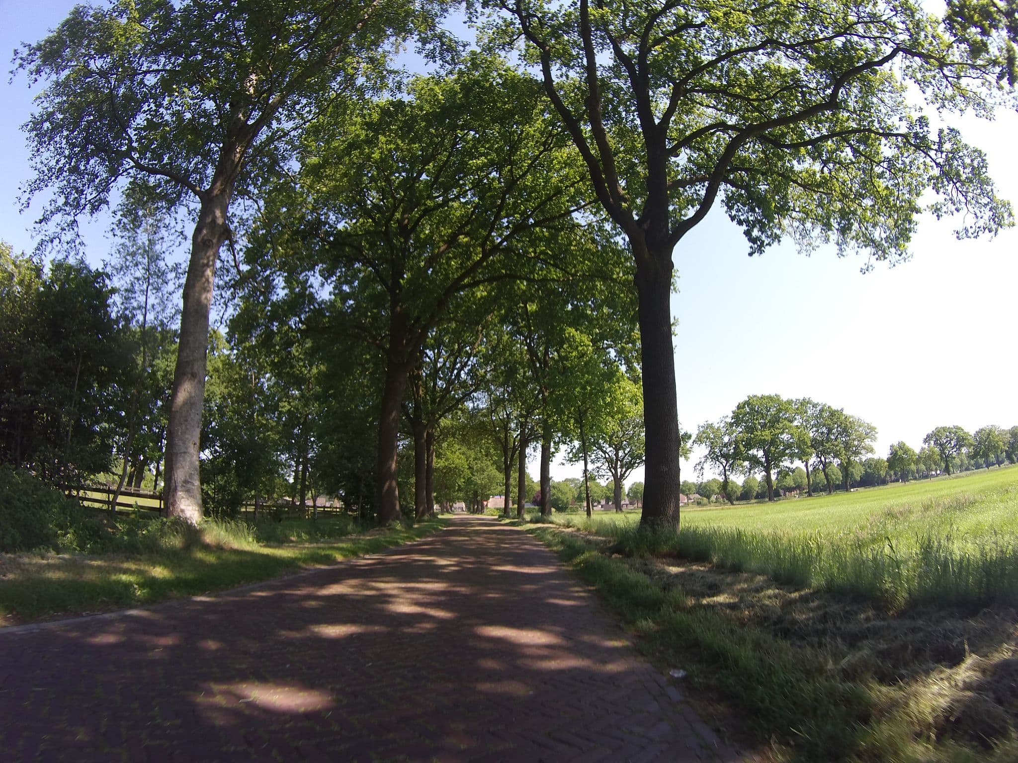 Street view near Logeerboerderij Ruijter, Schoonebeek — © ligfietser (CC BY-SA · Mapillary)