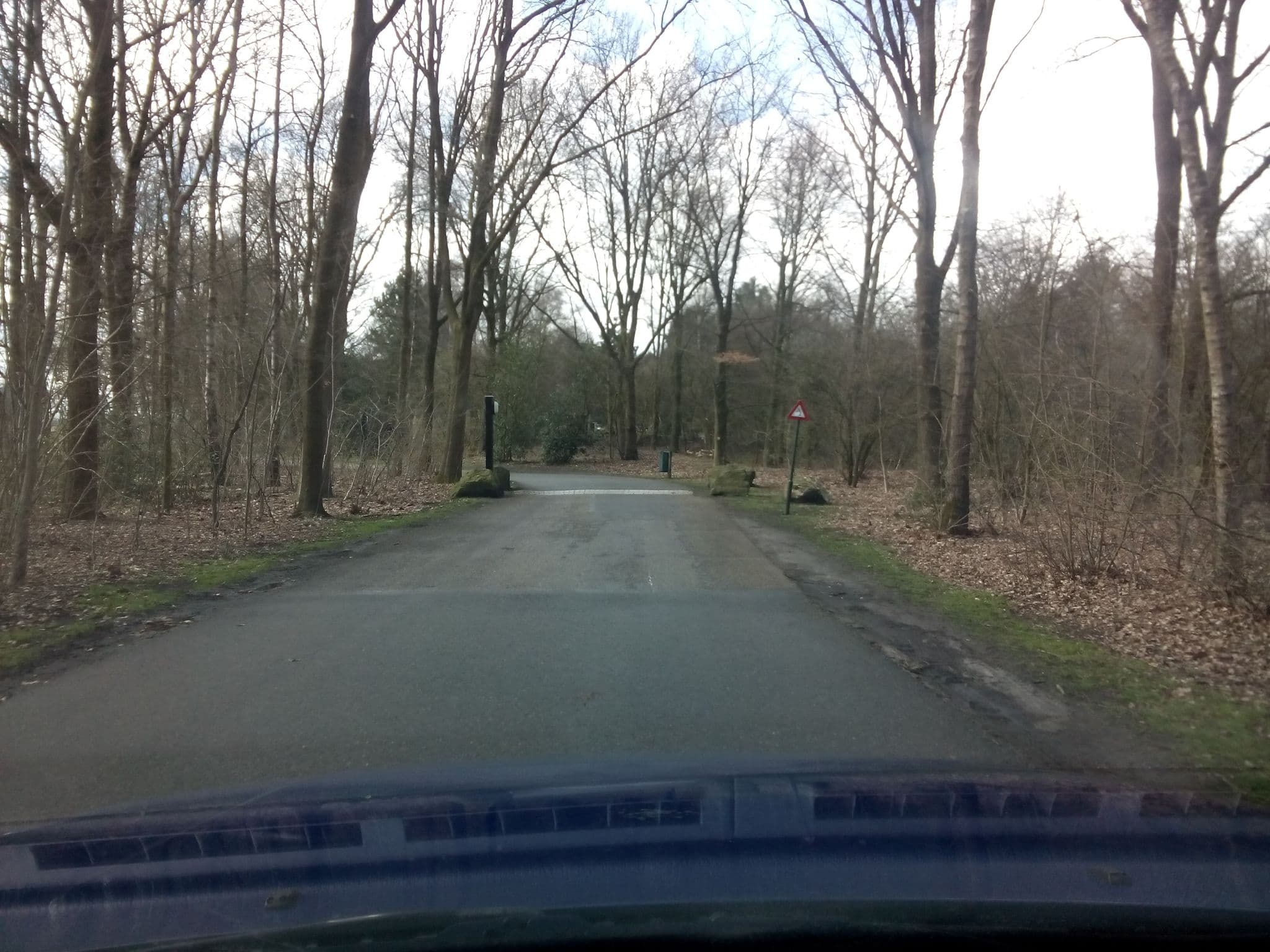 Street view near Cottage 229, De Loo — © geogast (CC BY-SA · Mapillary)