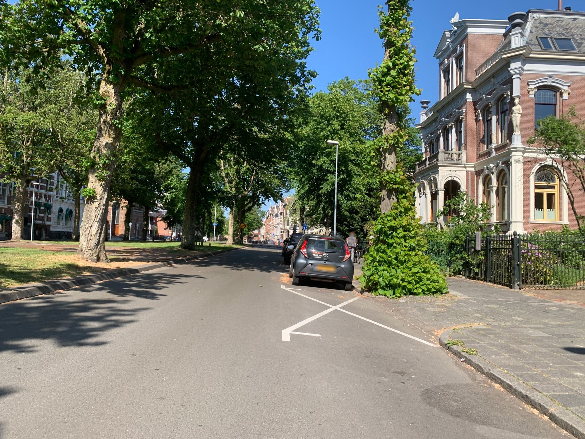Street view near beechtree, Groningen — © pLyMiEwGpWDLryMacQzo (CC BY-SA · Mapillary)