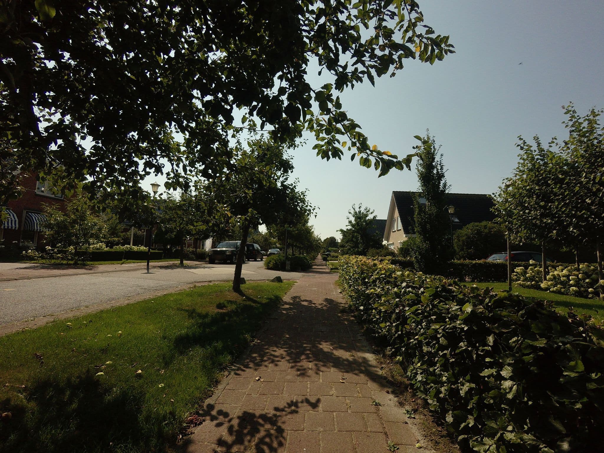 Street view near Uitrust@62, Zoutkamp — © ankeric (CC BY-SA · Mapillary)