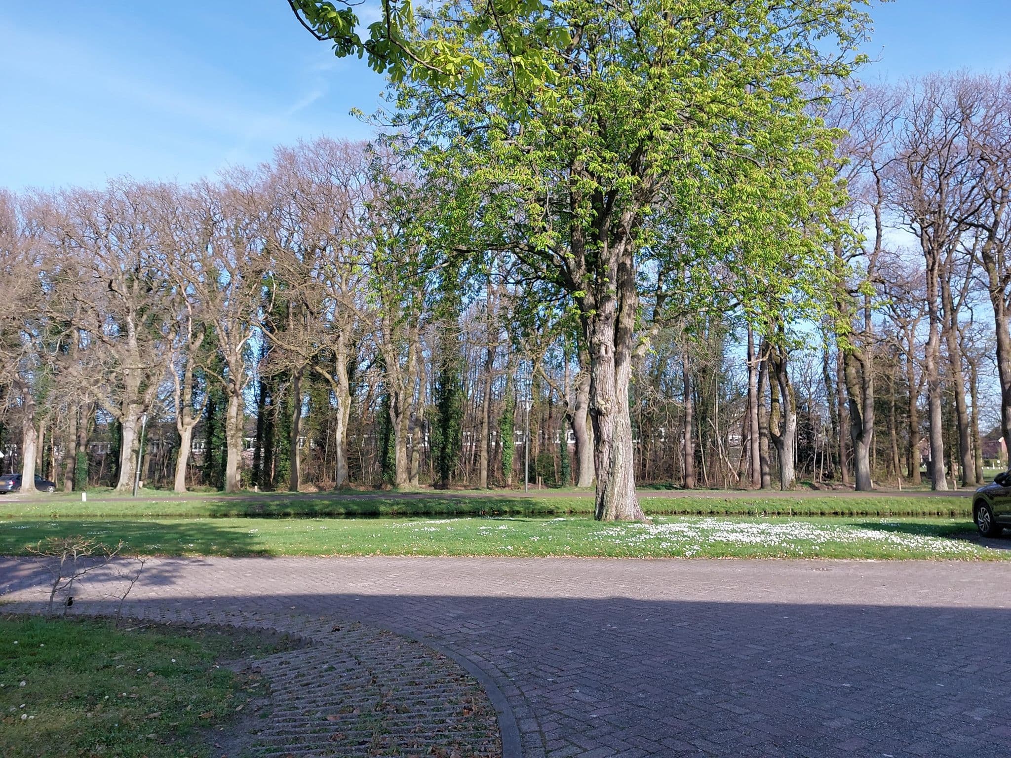 Street view near Elk Tot Gerief, Haulerwijk — © zeylmans (CC BY-SA · Mapillary)