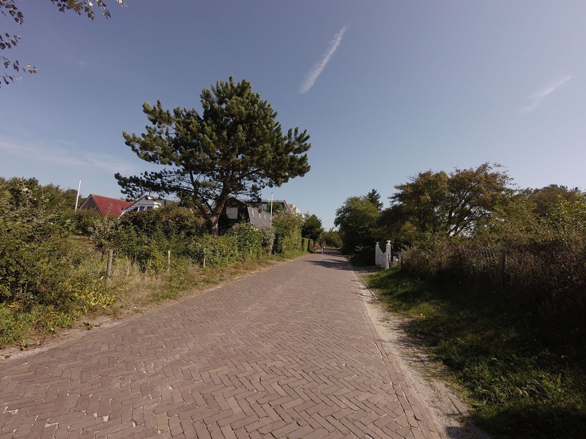 Street view near Santé, Ternaard — © ankeric (CC BY-SA · Mapillary)