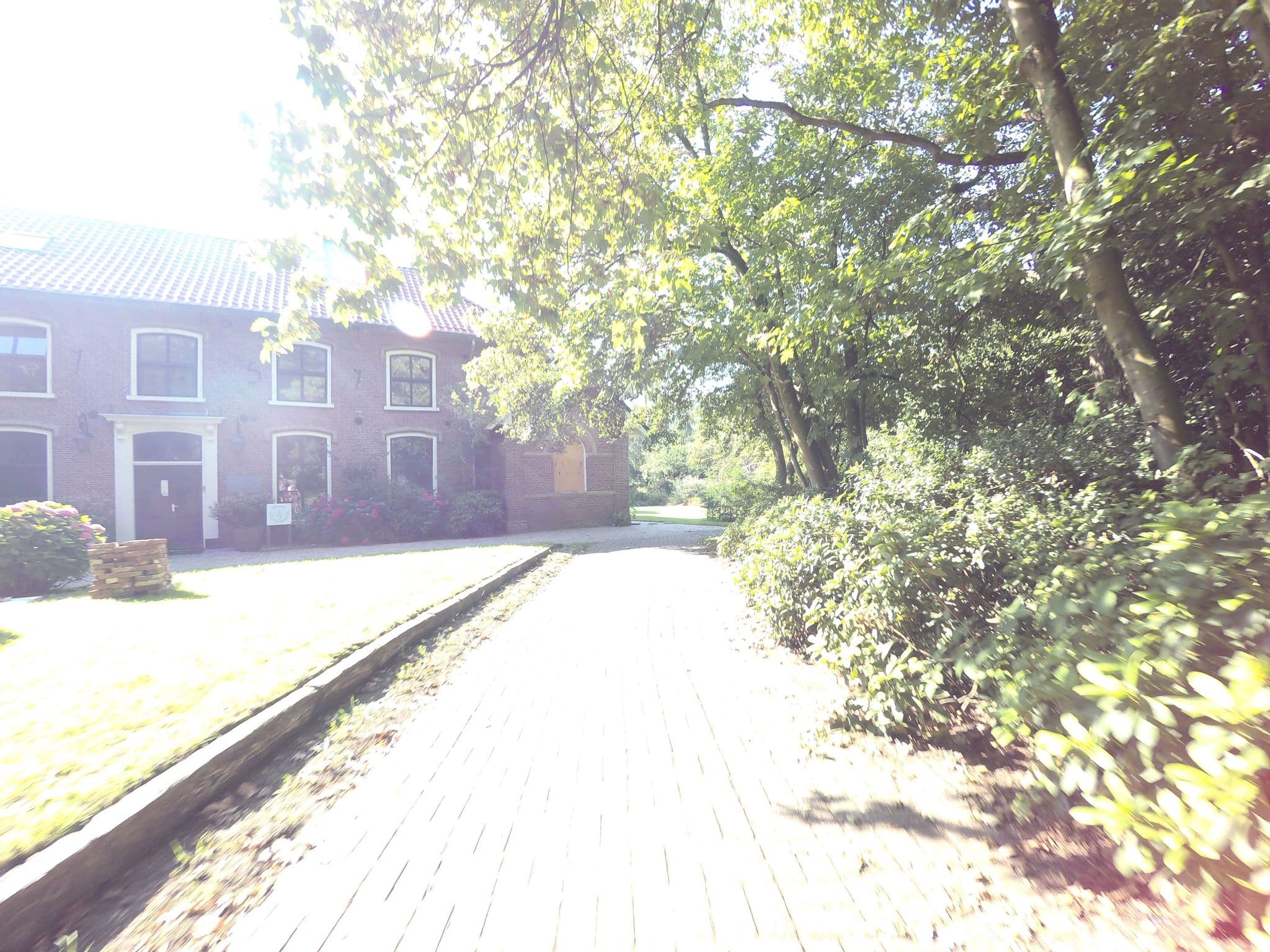Street view near Herberg Rijsbergen, Ternaard — © ankeric (CC BY-SA · Mapillary)