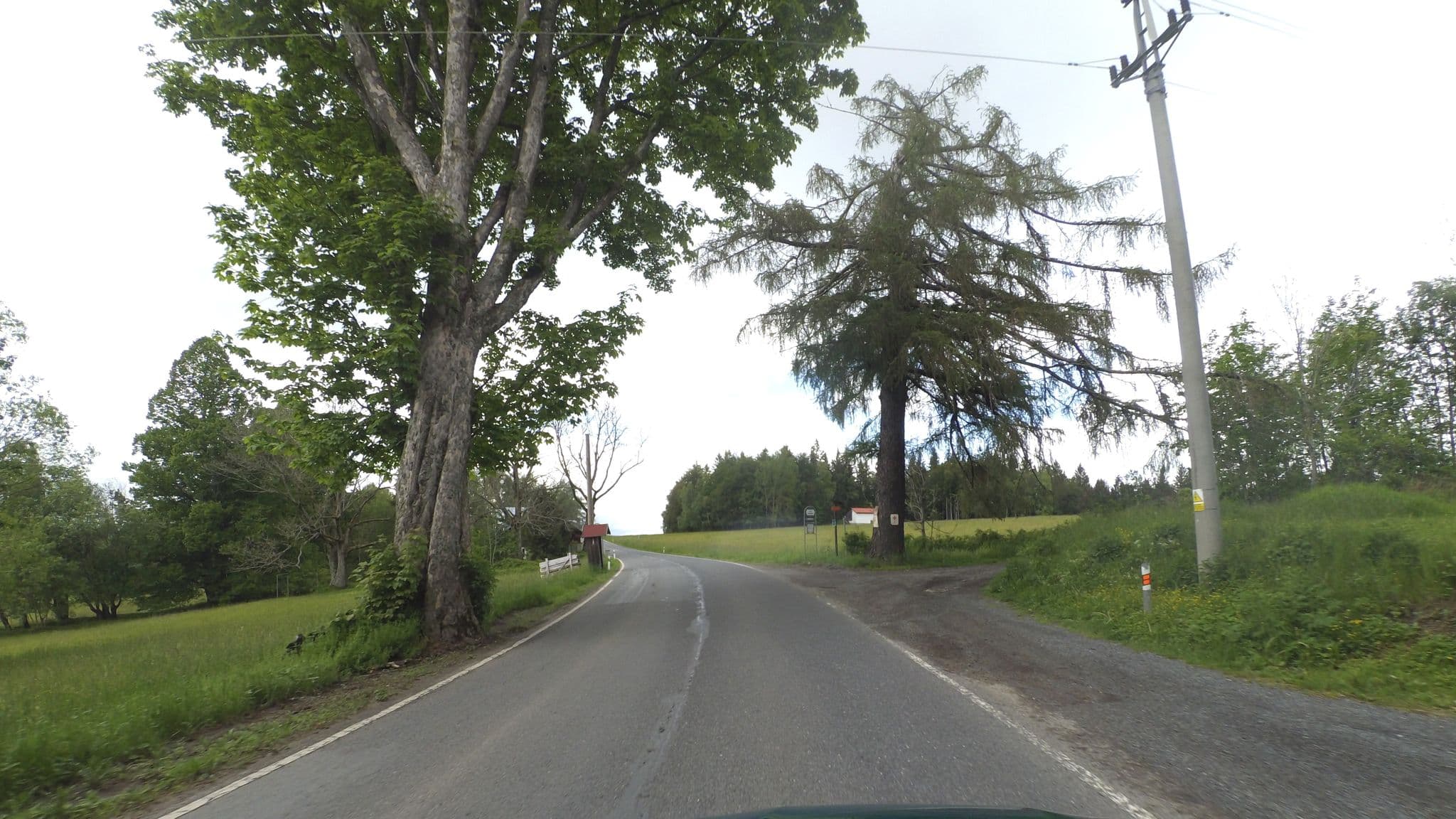 Street view near Tomer Hof - Tomasuv Dvur, Železná Ruda — © wegavision (CC BY-SA · Mapillary)