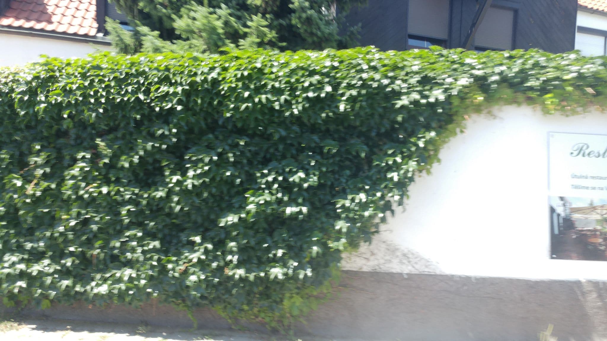 Street view near BOHEMI, spol, Průhonice — © pbb (CC BY-SA · Mapillary)