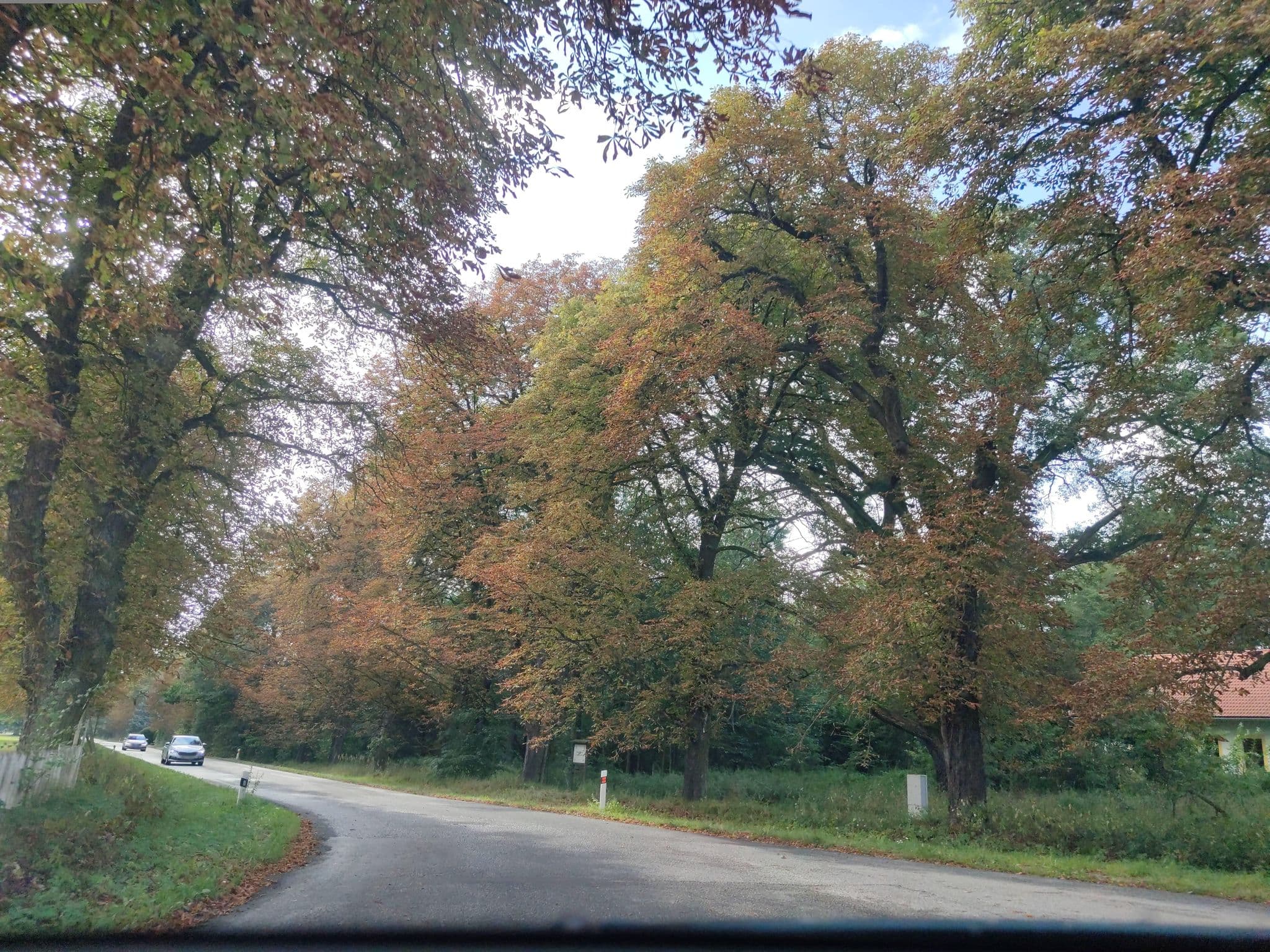Street view near Penzion Golf Bechyně, Bechyně — © martinpoljak (CC BY-SA · Mapillary)