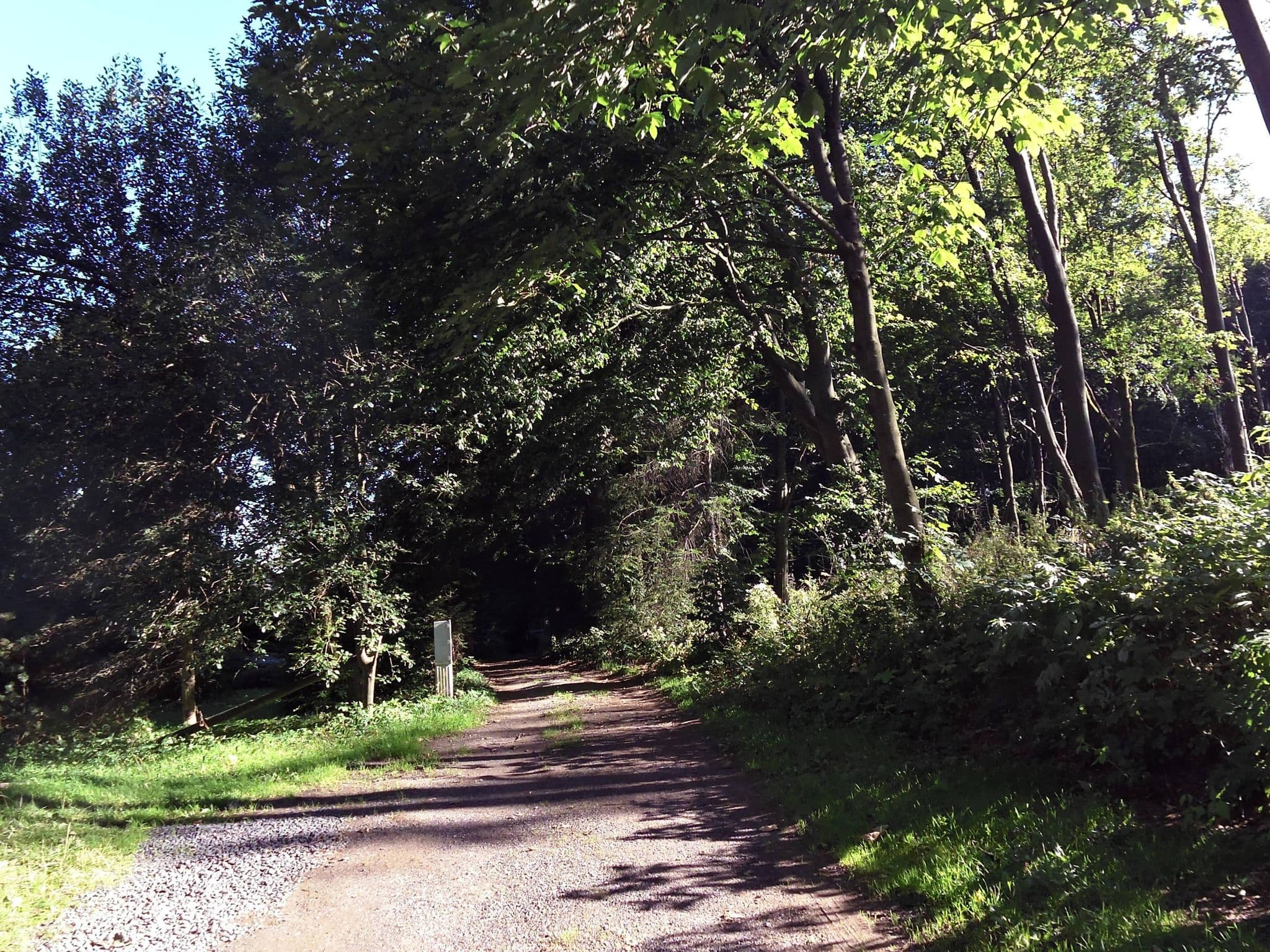 Street view near Chata Dřevomorka, Dolní Podluží — © fell3 (CC BY-SA · Mapillary)