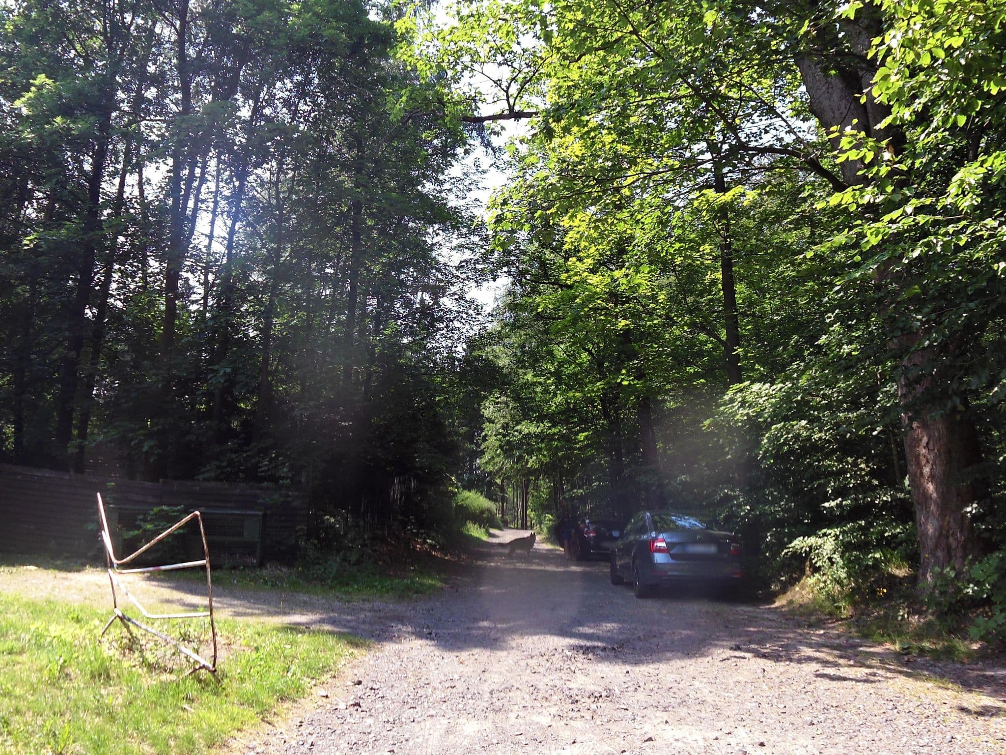 Street view near Penzion Pod Jedlovou, Dolní Podluží — © fell3 (CC BY-SA · Mapillary)