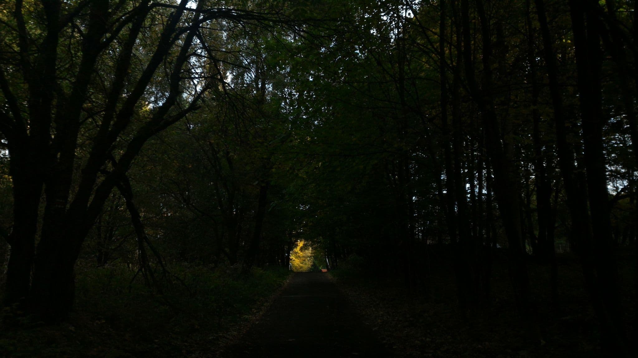 Street view near Chata Růžena, Dolní Podluží — © fell3 (CC BY-SA · Mapillary)