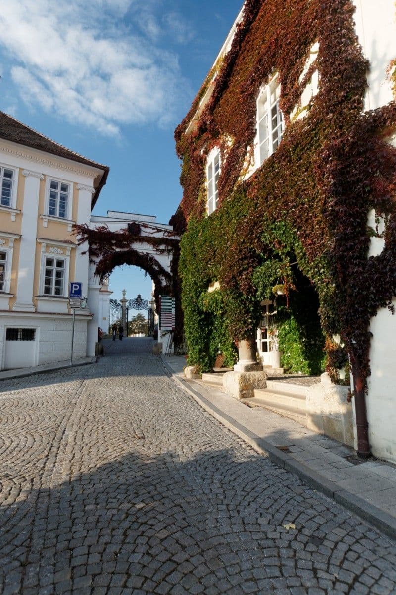 Street view near Dům u Bylinkáře, Mikulov — © txllxt (CC BY-SA · Mapillary)