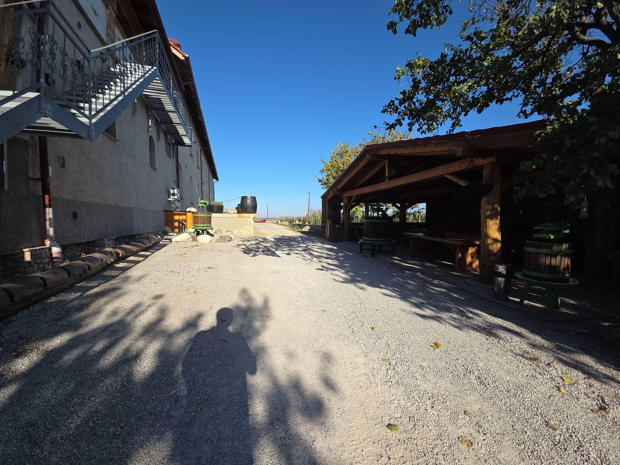 Street view near Vinařský Dům Dominant, Rakvice — © MC79 (CC BY-SA · Mapillary)