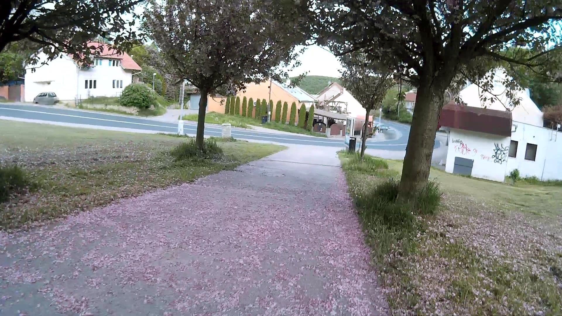 Street view near Hotel A Podlesí, Kohoutovice — © hcz (CC BY-SA · Mapillary)
