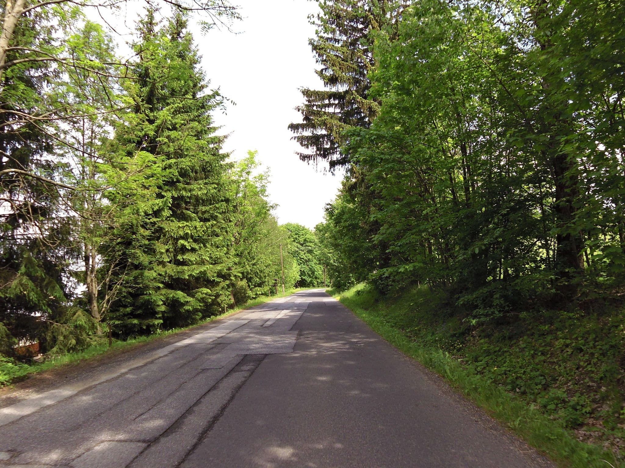 Street view near Penzion Leona, Kořenov — © fell3 (CC BY-SA · Mapillary)