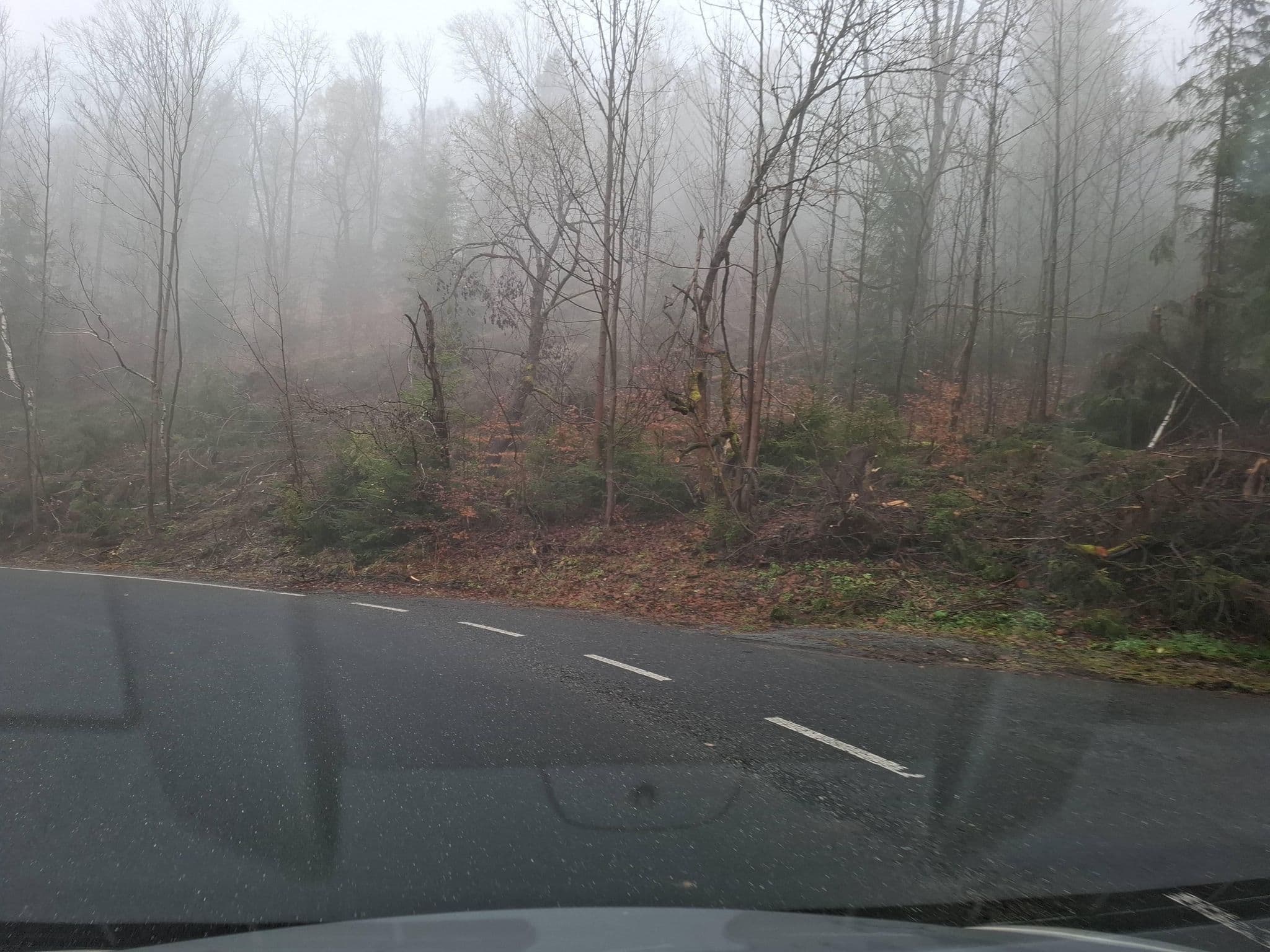 Street view near Penzion U Kocoura, Desná — © masterofnoroad (CC BY-SA · Mapillary)