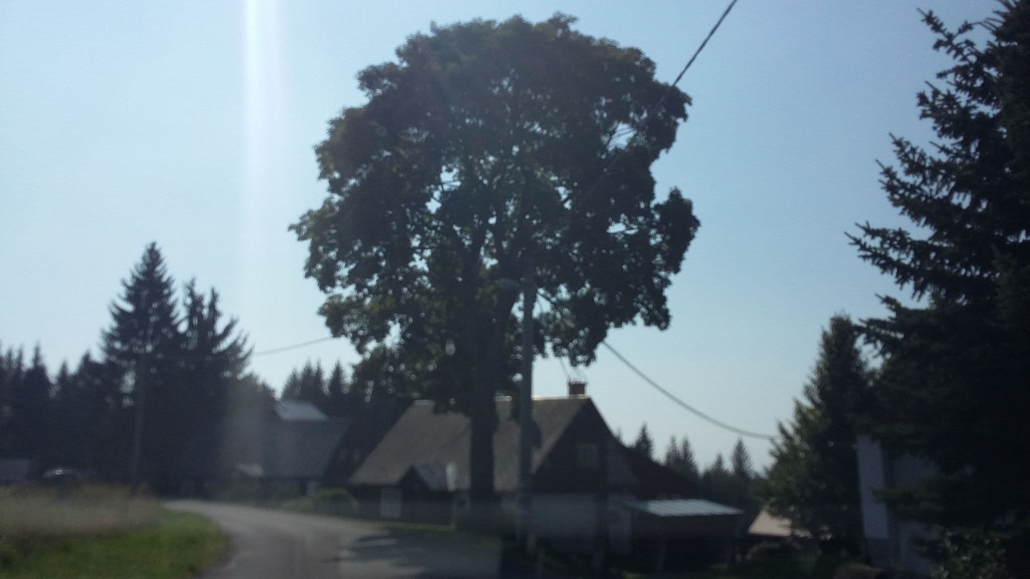 Street view near Penzion Semerink, Janov nad Nisou — © gob (CC BY-SA · Mapillary)