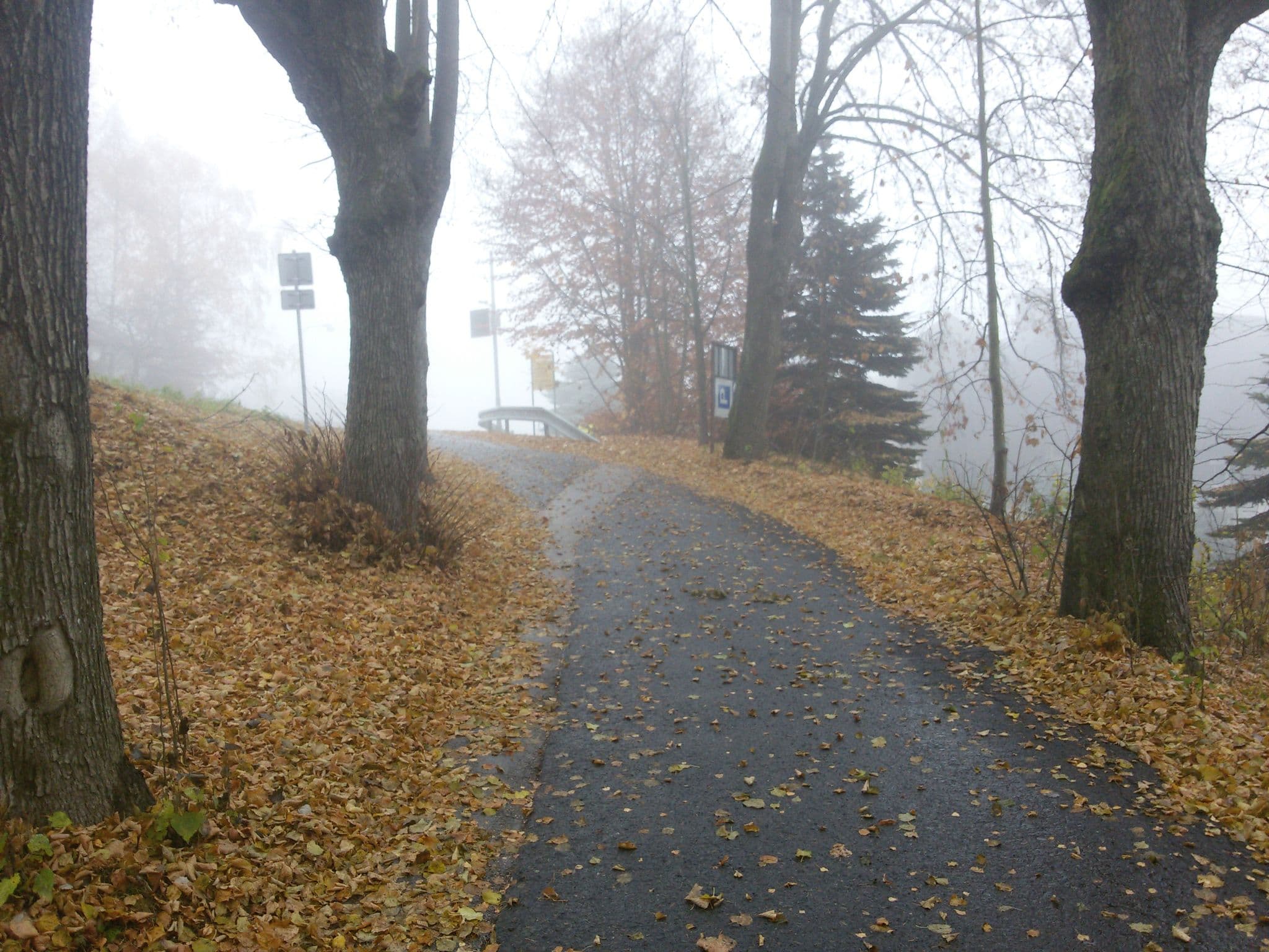 Street view near Penzion U Hradeckých, Svoboda nad Úpou — © orgoj (CC BY-SA · Mapillary)