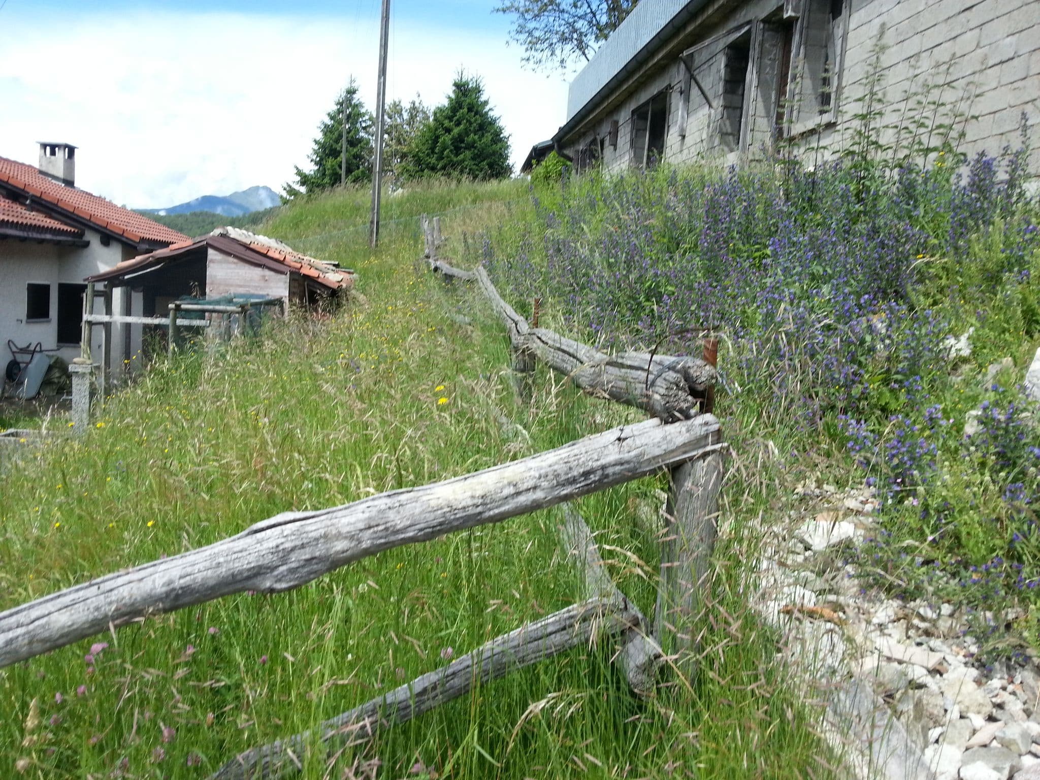 Street view near Casa Monte Zalto, Tesserete — © kaitu (CC BY-SA · Mapillary)