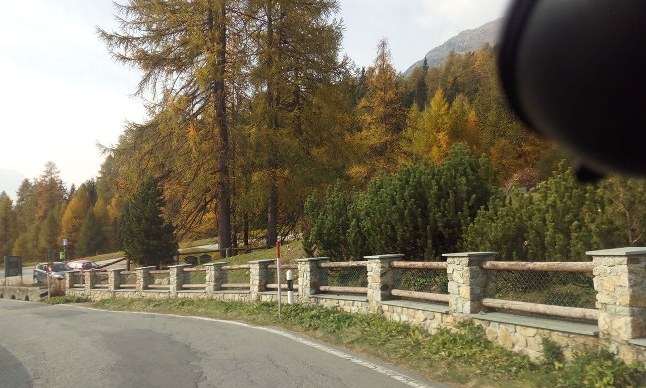 Street view near Chalet Chesarina, Zuoz — © selfishseahorse (CC BY-SA · Mapillary)