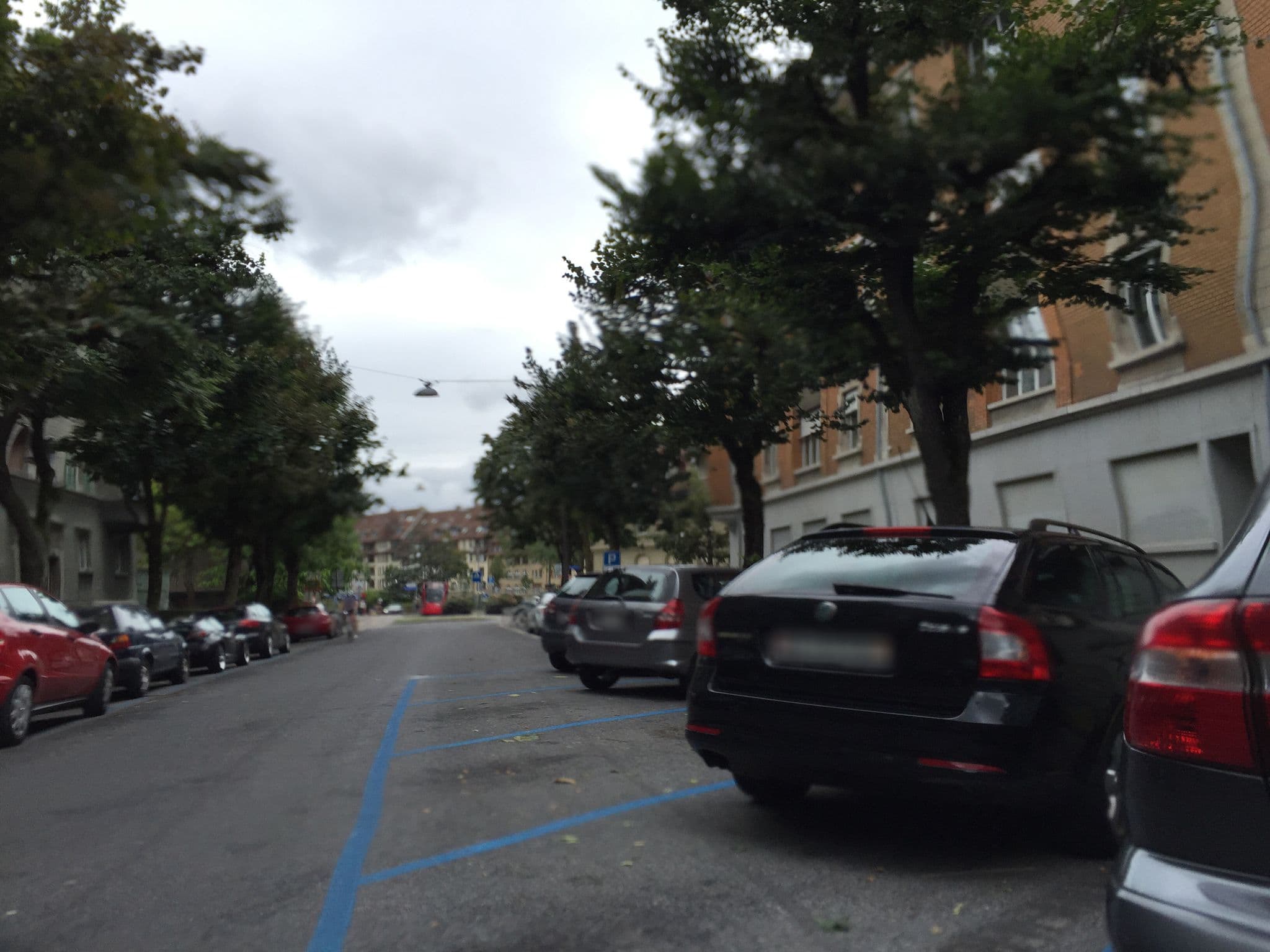 Street view near Sammelstiftung Symova, Bern — © trac71 (CC BY-SA · Mapillary)