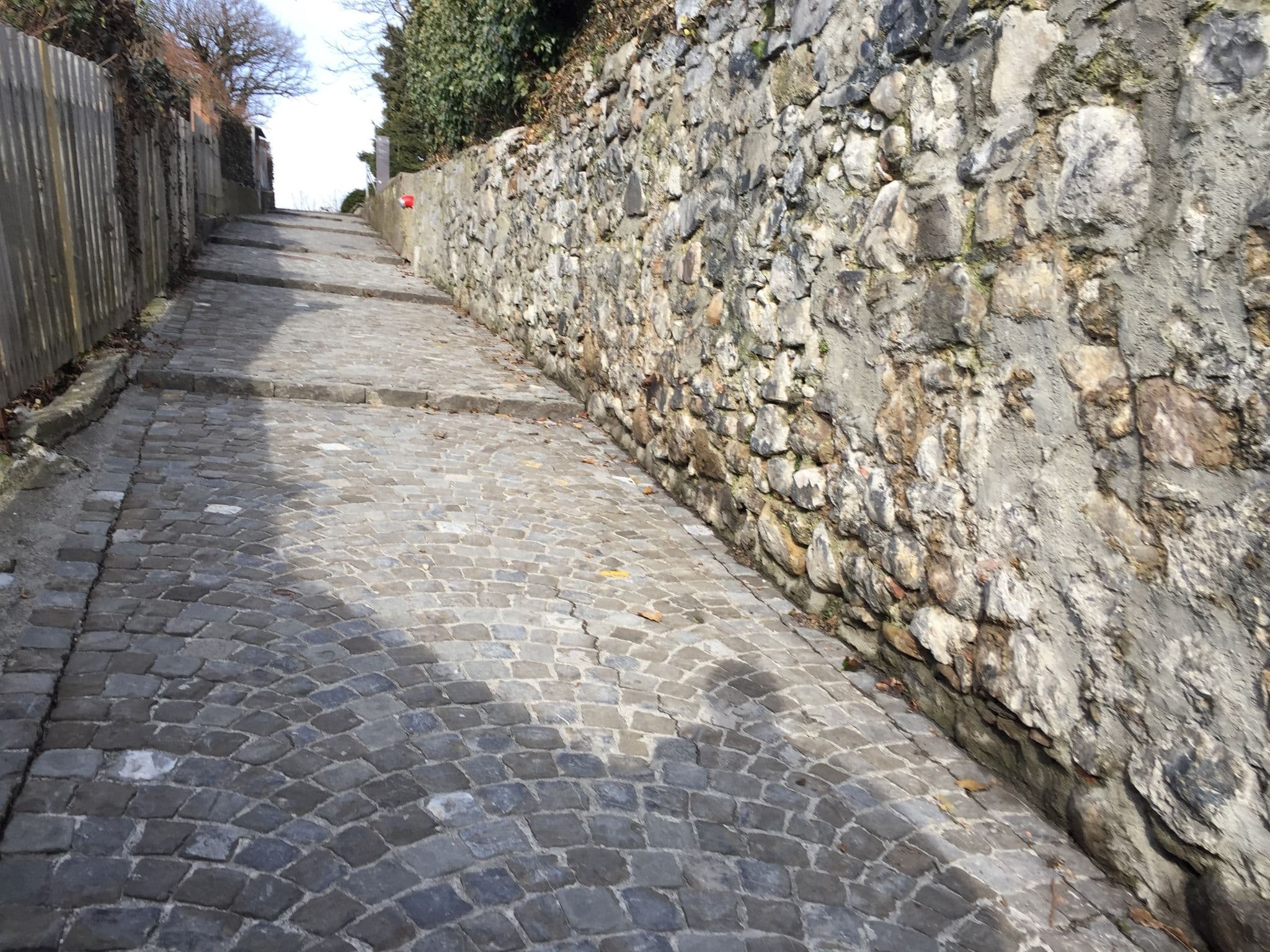 Street view near Schlossberg Thun, Thun — © trac71 (CC BY-SA · Mapillary)