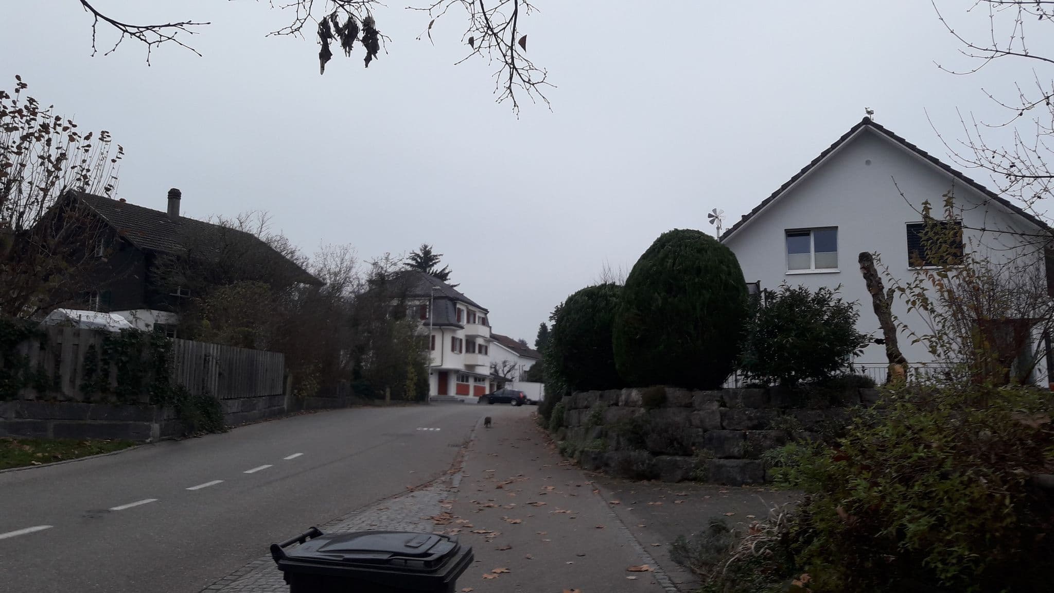 Street view near Gästehaus Sonne, Solothurn — © bodo3 (CC BY-SA · Mapillary)