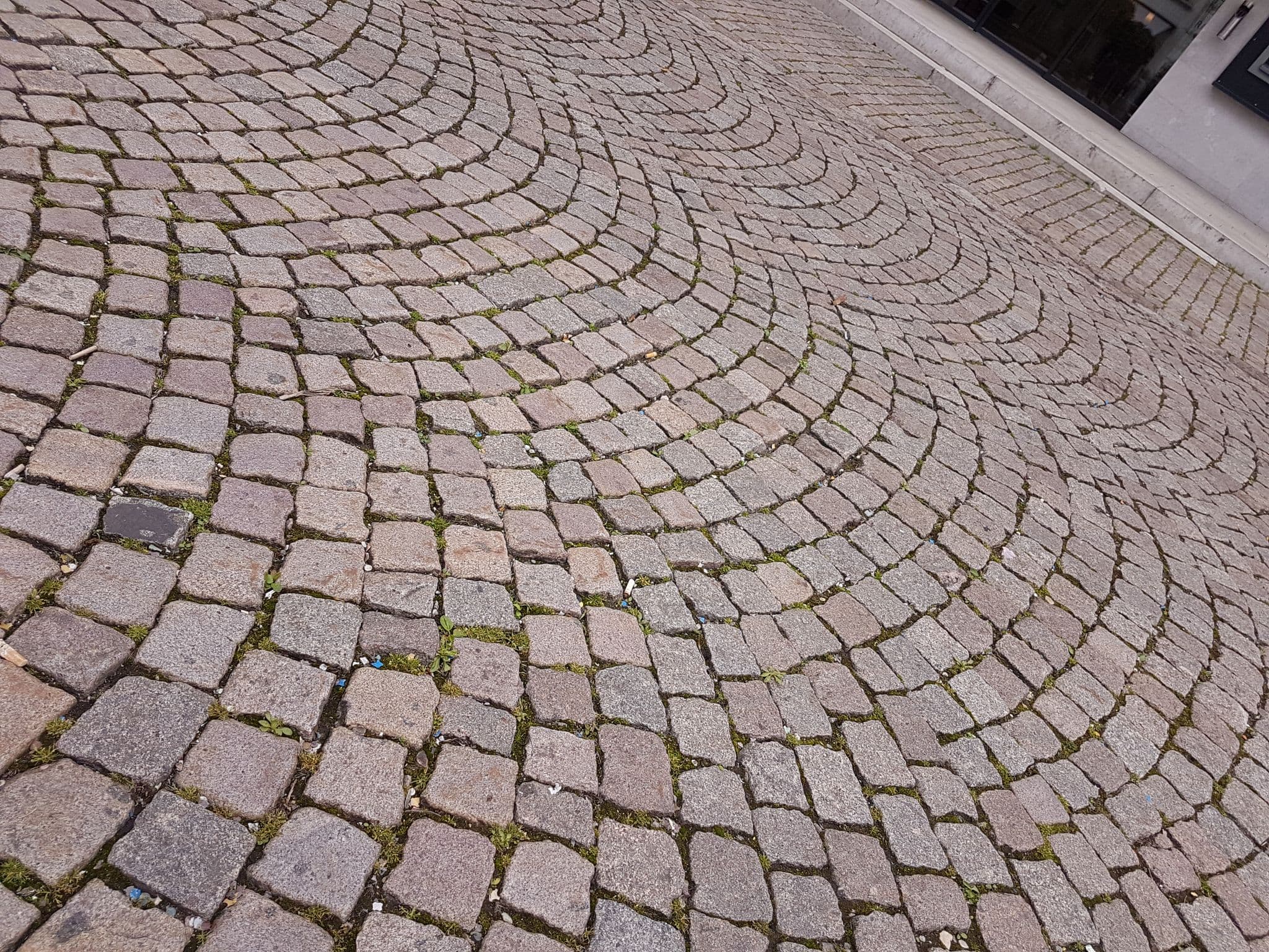 Street view near Solothurn Services, Solothurn — © changchun1 (CC BY-SA · Mapillary)