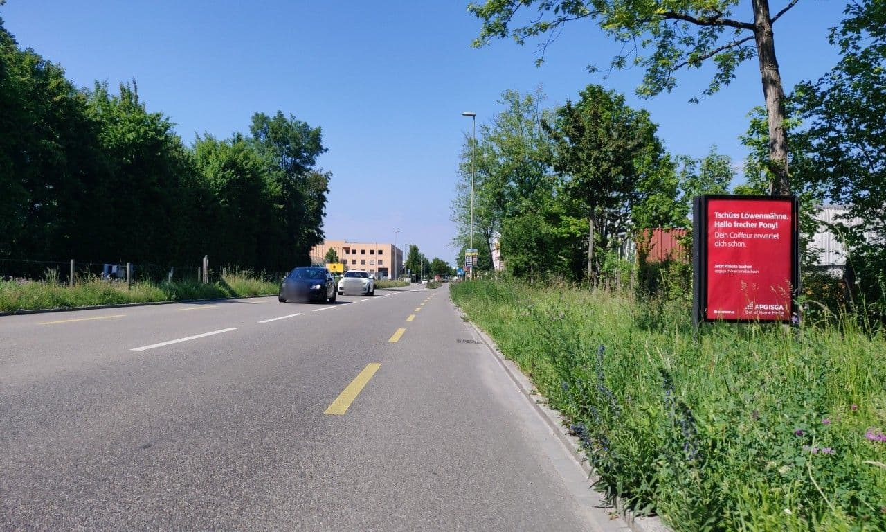Street view near TTE THE TOURISM EXPERT c/o Nextron Gmbh, Münchenstein — © kto (CC BY-SA · Mapillary)