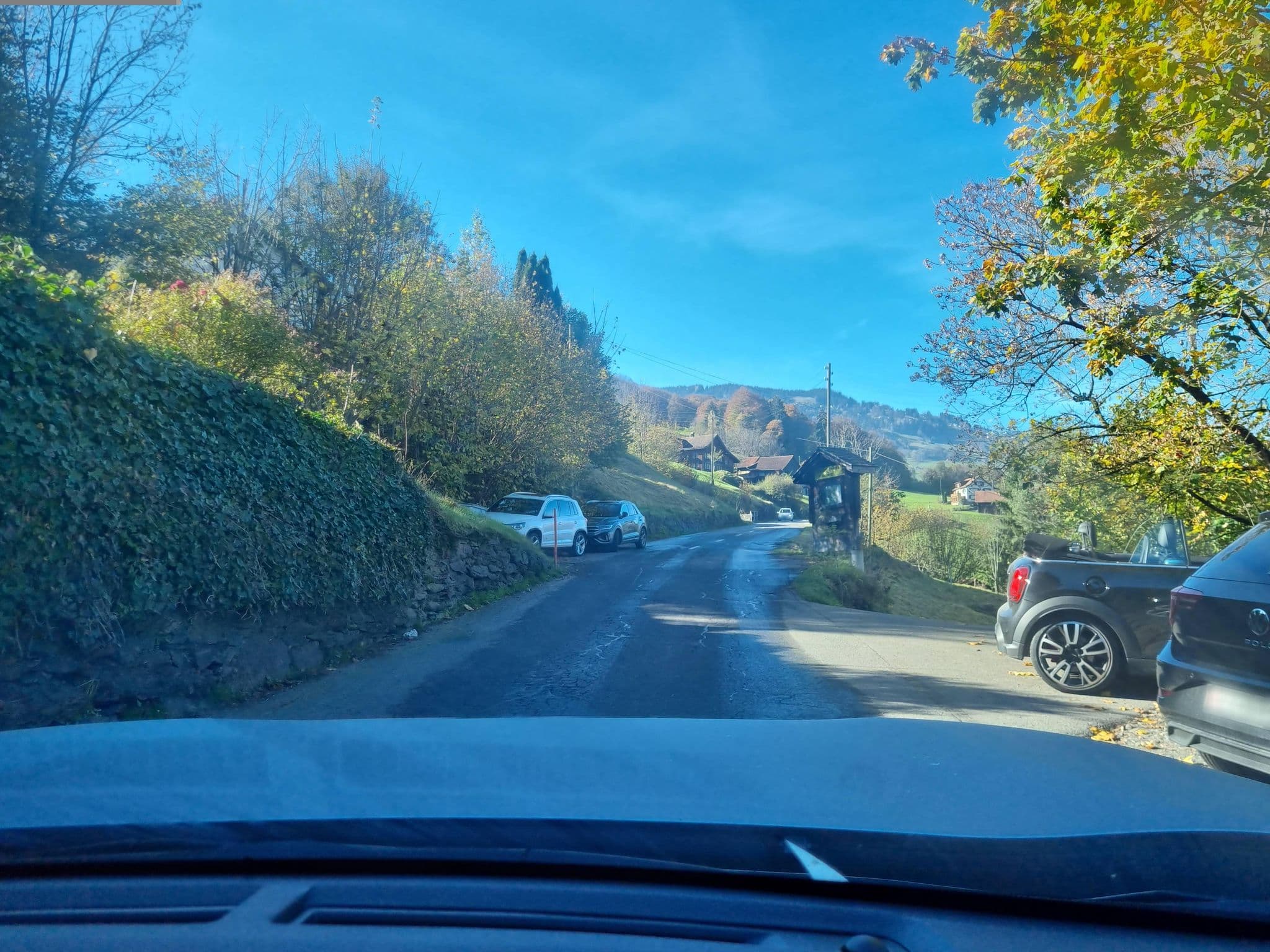 Street view near Berghotel Schönhalden, Flums — © Yha1 (CC BY-SA · Mapillary)