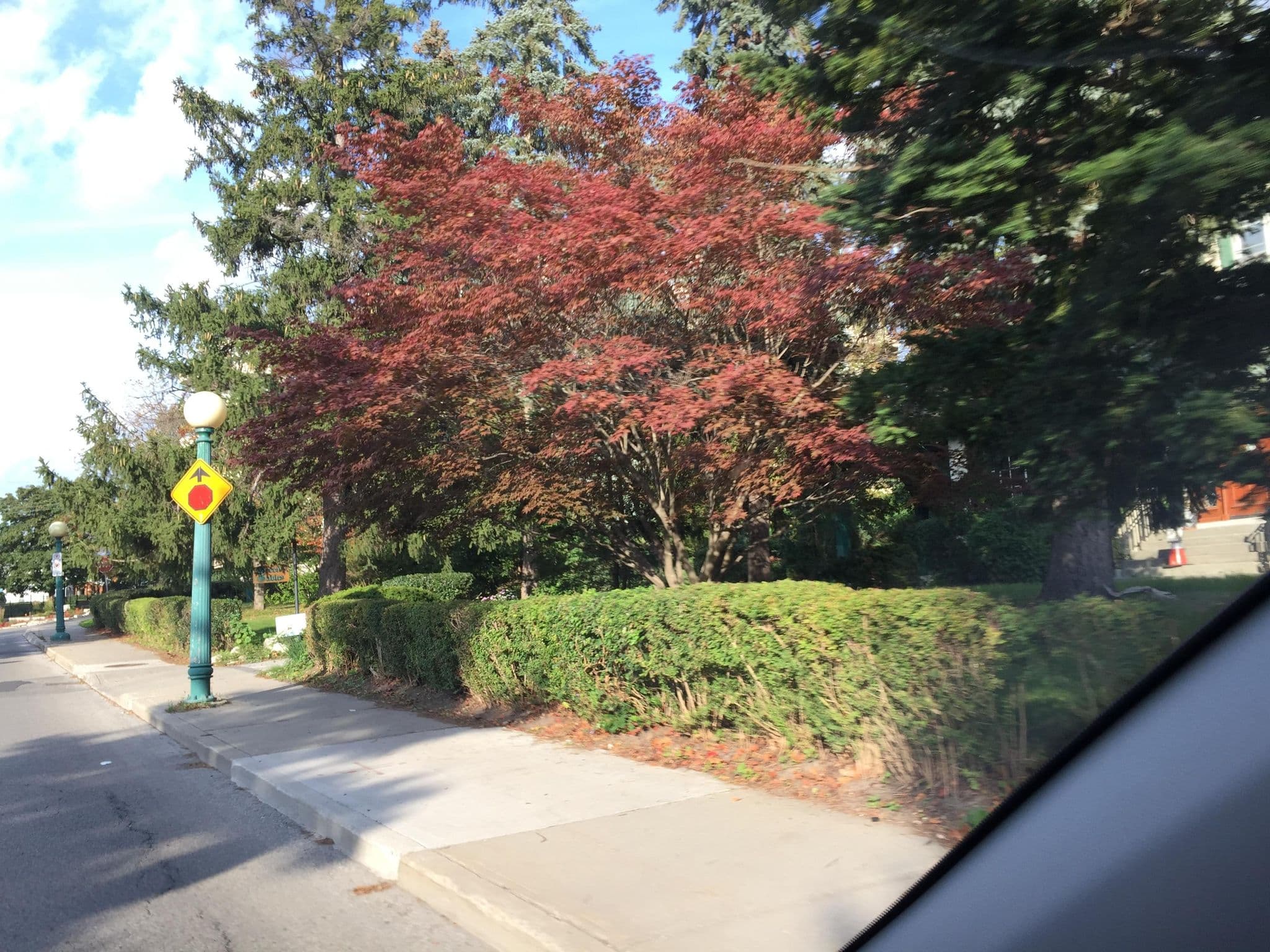 Street view near Green Gables, Central Frederick — © privateacorn (CC BY-SA · Mapillary)