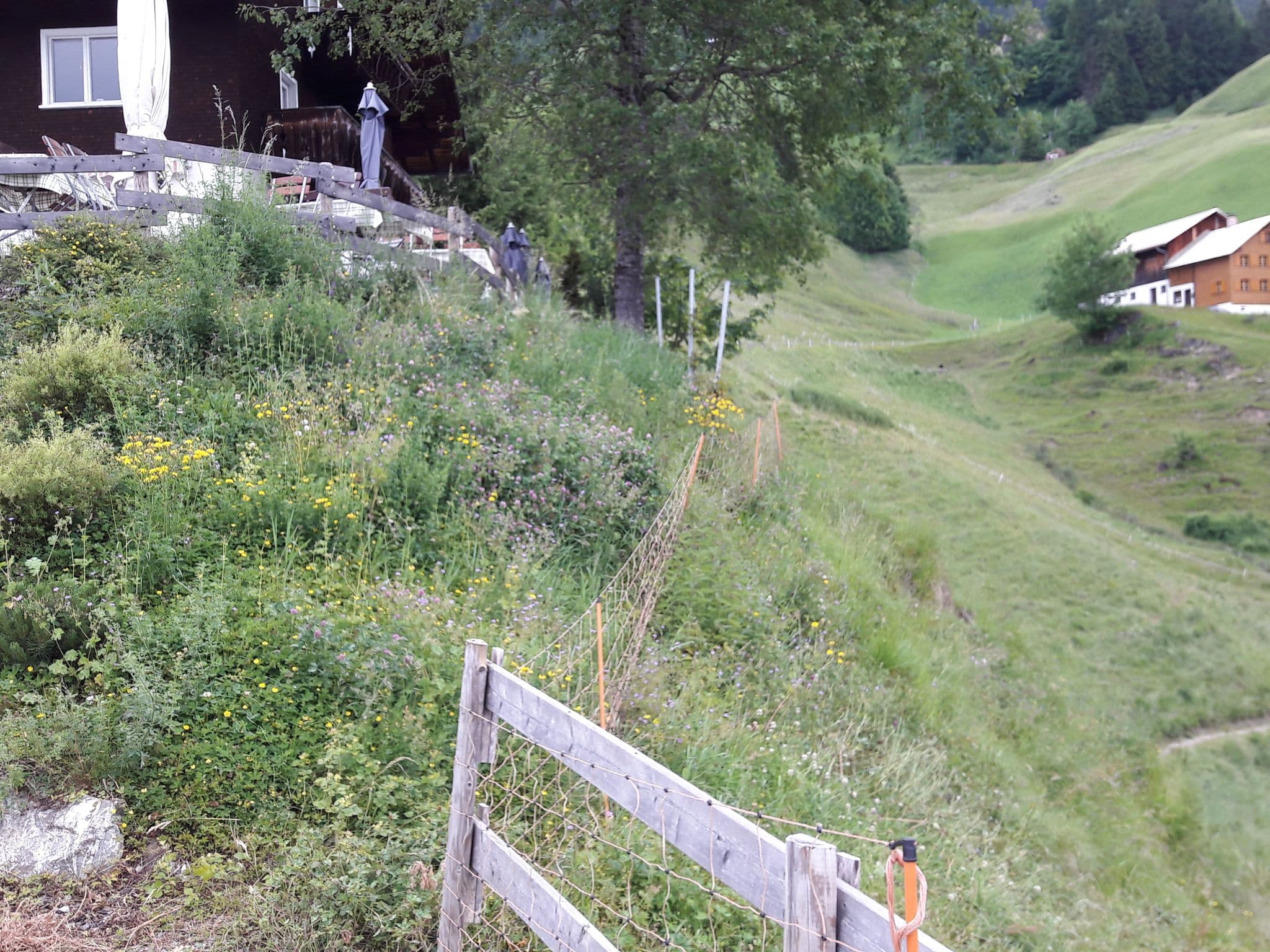 Street view near Gasthof Seewald, Ausserbraz — © alucardo (CC BY-SA · Mapillary)