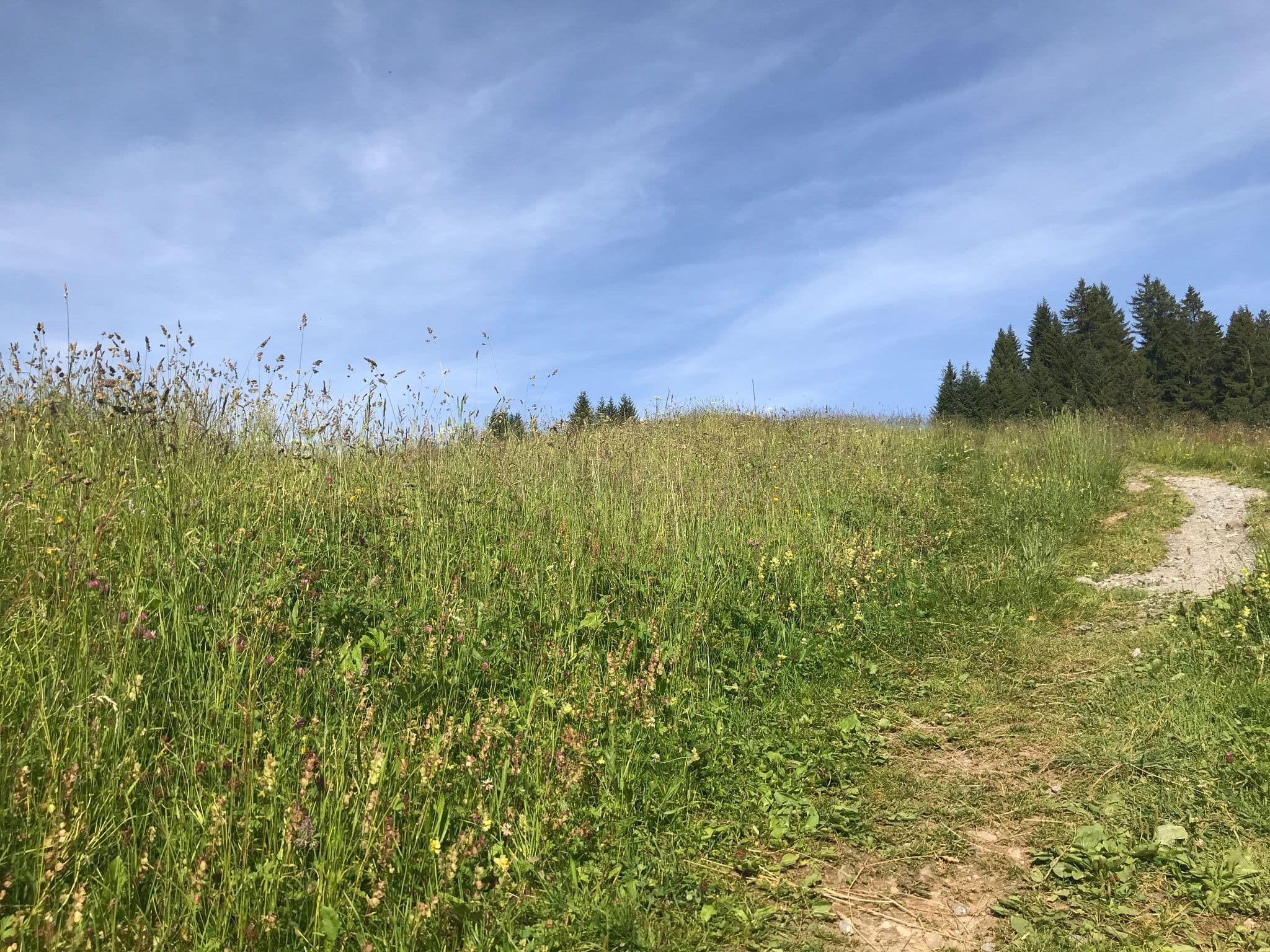 Street view near Haus Furka Elmar Bischof, Mellau — © kaivi (CC BY-SA · Mapillary)