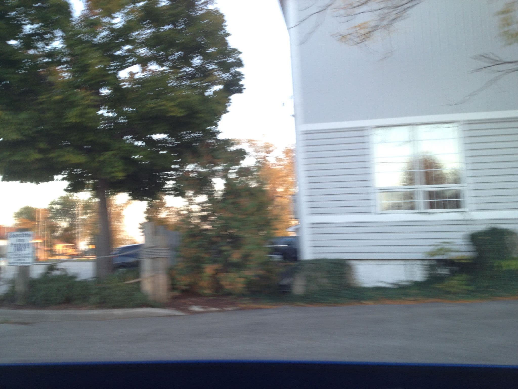 Street view near Seacliffe Inn, Leamington — © elgaard (CC BY-SA · Mapillary)
