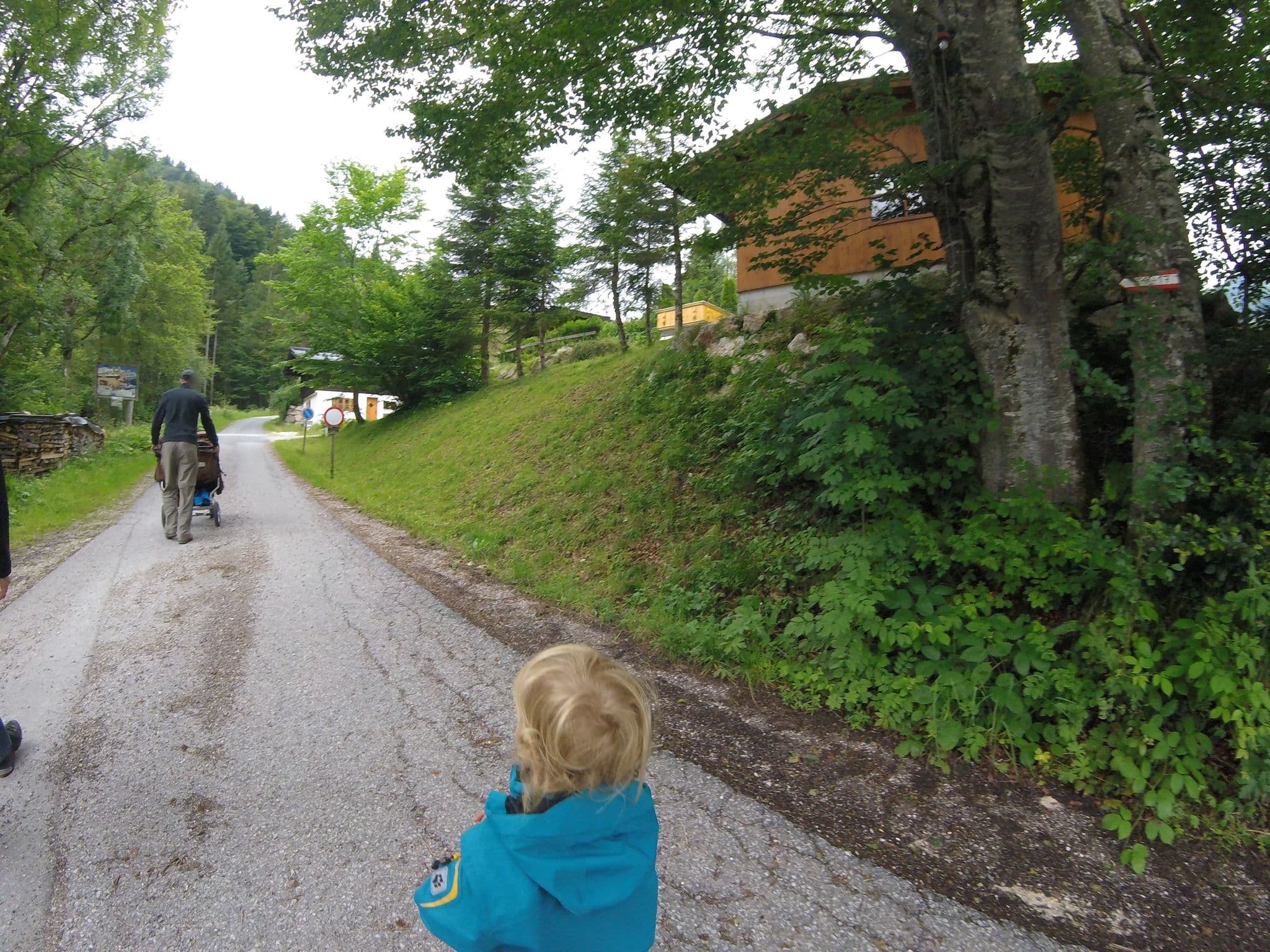 Street view near Almliesl Unke-537, Lofer — © chuck (CC BY-SA · Mapillary)