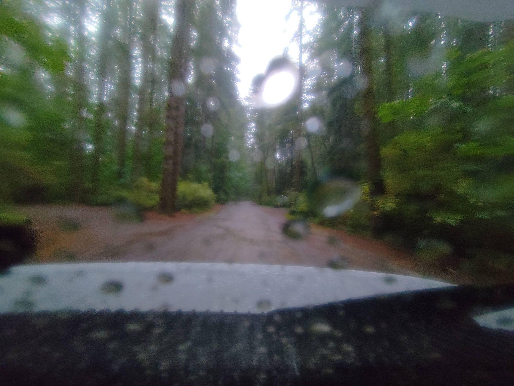 Street view near Quinsam Campground, Campbell River — © kibour (CC BY-SA · Mapillary)