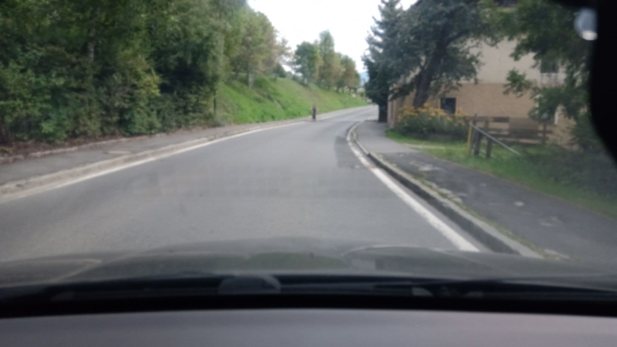 Street view near Herwig Schwarzenbacher, Steinfeld — © christianertler (CC BY-SA · Mapillary)