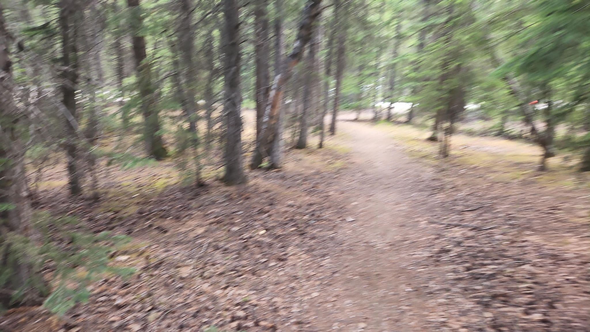Street view near Monarch Campground, Golden — © rps333 (CC BY-SA · Mapillary)