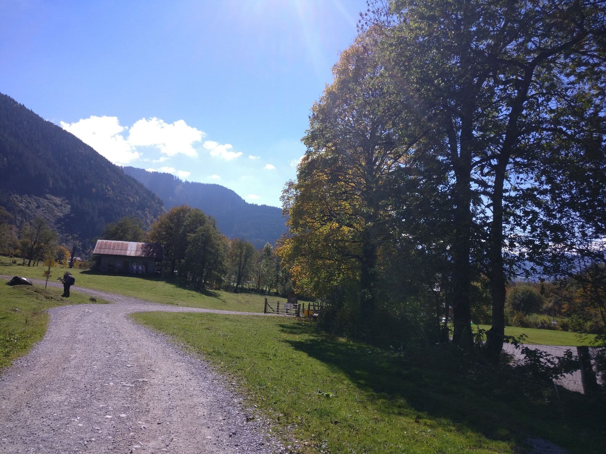 Street view near Bauernhof Vorderfromm, Werfen — © map_hard (CC BY-SA · Mapillary)