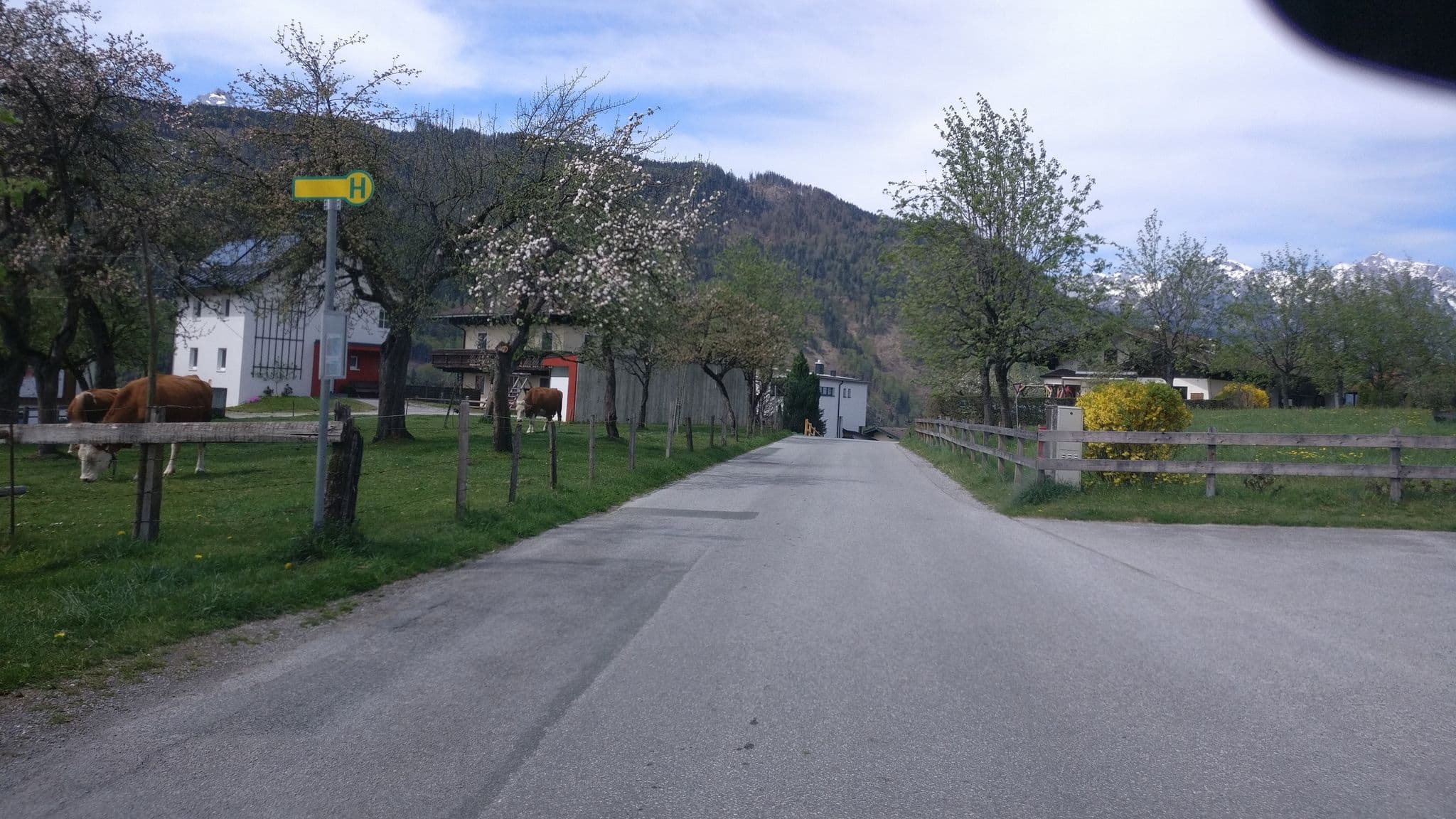 Street view near Gasthaus Mitten, Bischofshofen — © map_hard (CC BY-SA · Mapillary)