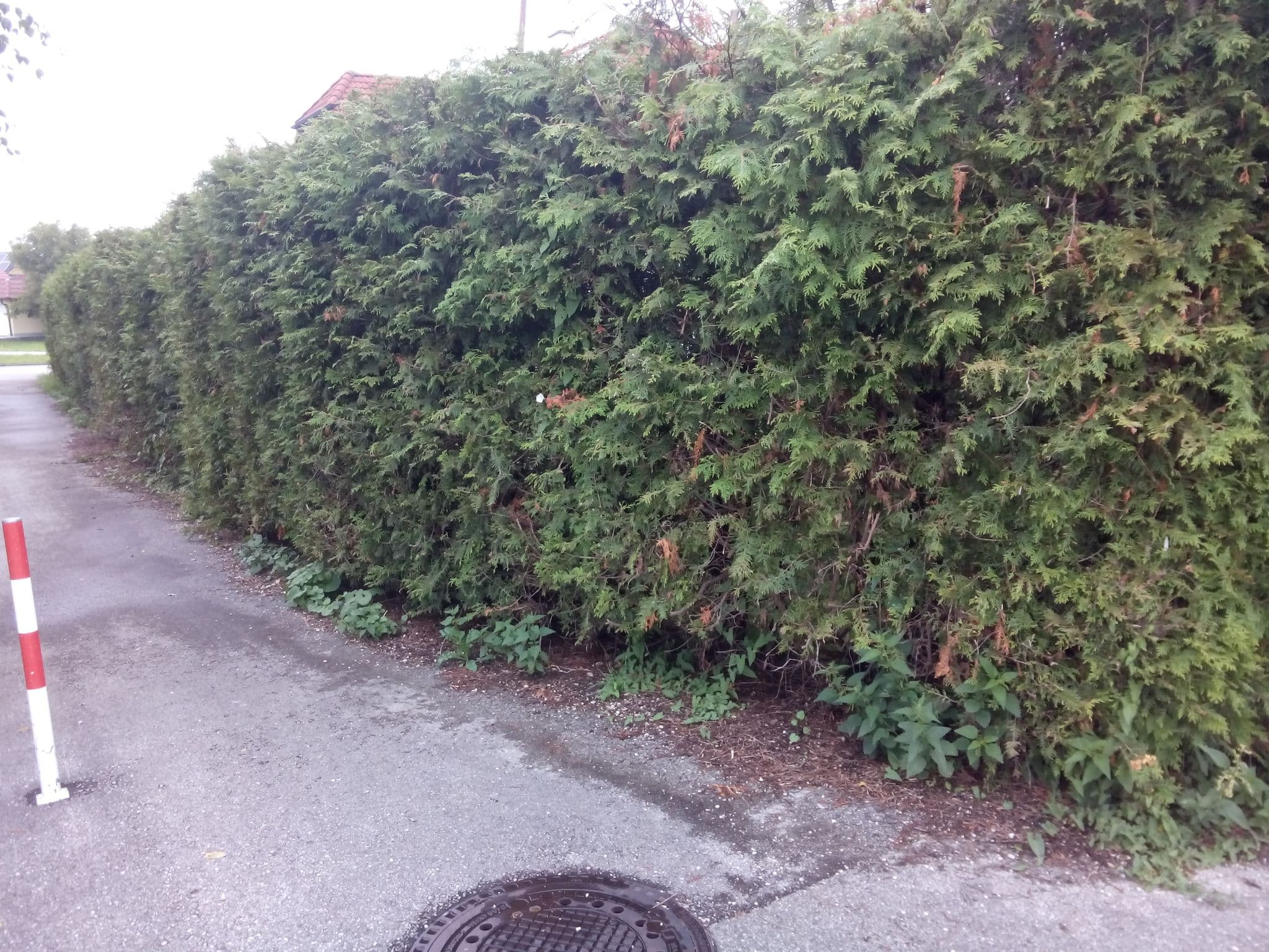 Street view near Brandstötter Karl, Eberstalzell — © silwol (CC BY-SA · Mapillary)