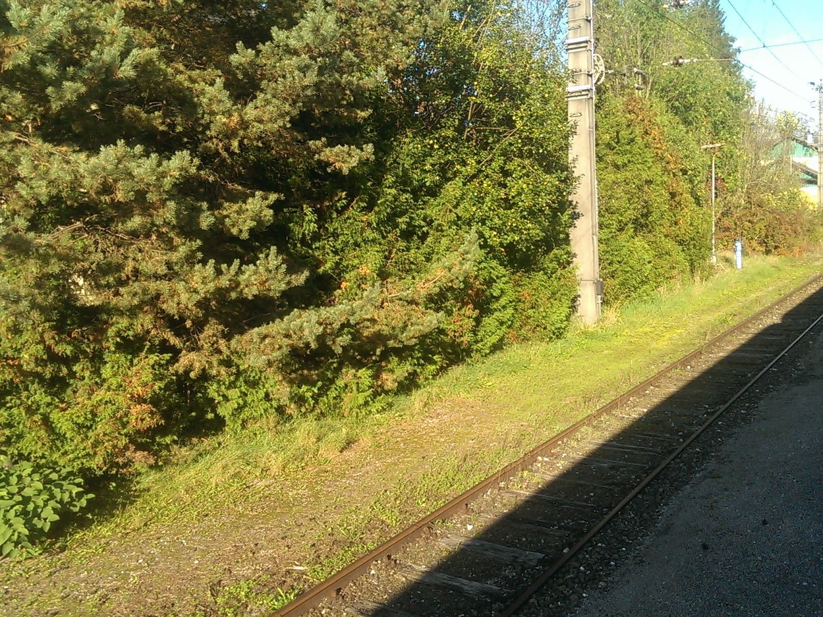 Street view near Gasthaus Admonterhof, Admont — © aceini (CC BY-SA · Mapillary)
