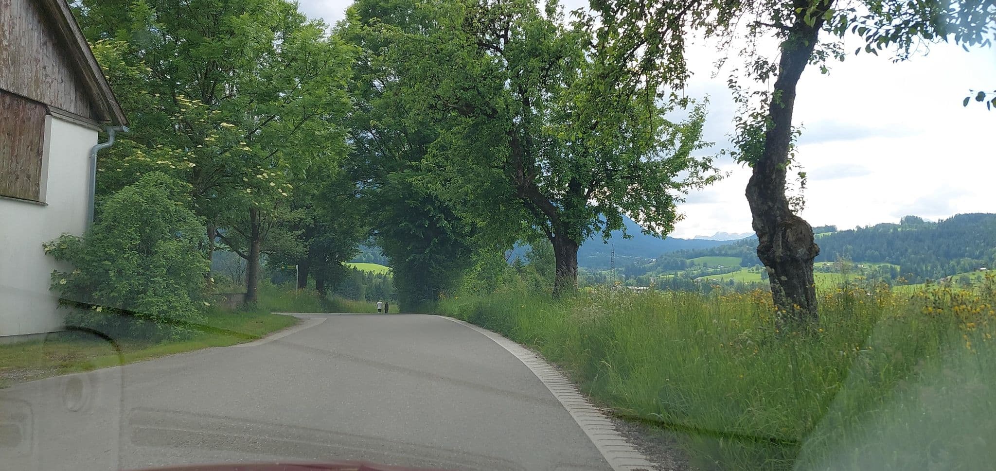 Street view near Bauernhof Bichlbauer, Windischgarsten — © gzin (CC BY-SA · Mapillary)