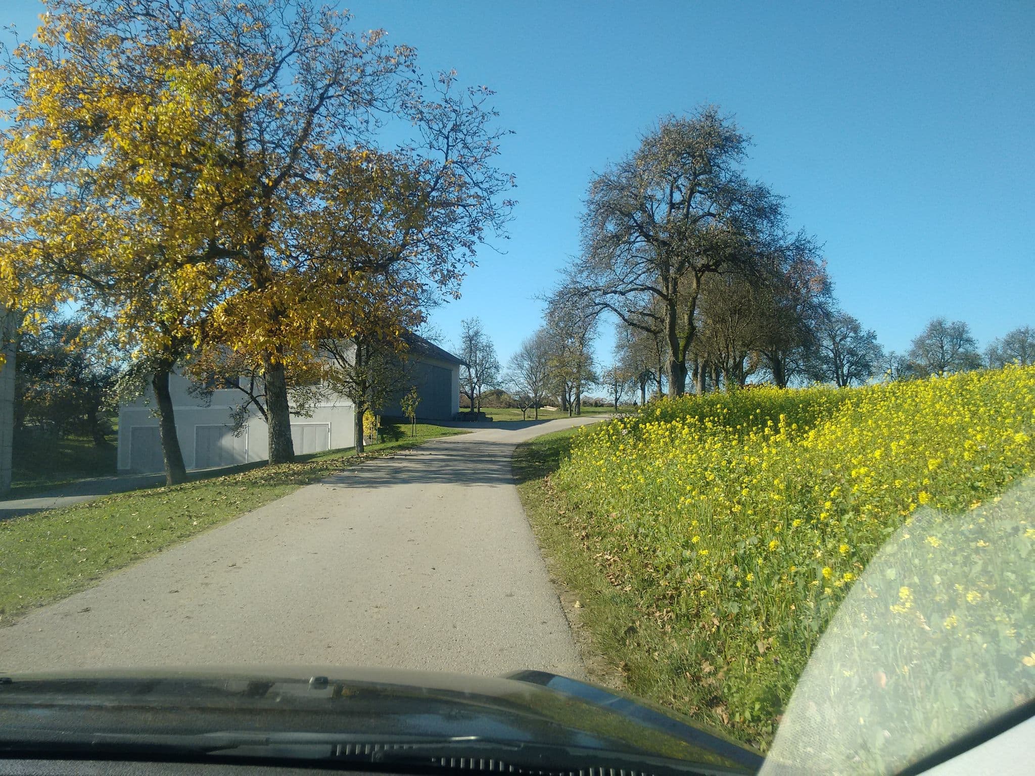 Street view near Ferienhof Fredl z'Linetshub Fam Straßl, Lembach im Mühlkreis — © gzin (CC BY-SA · Mapillary)
