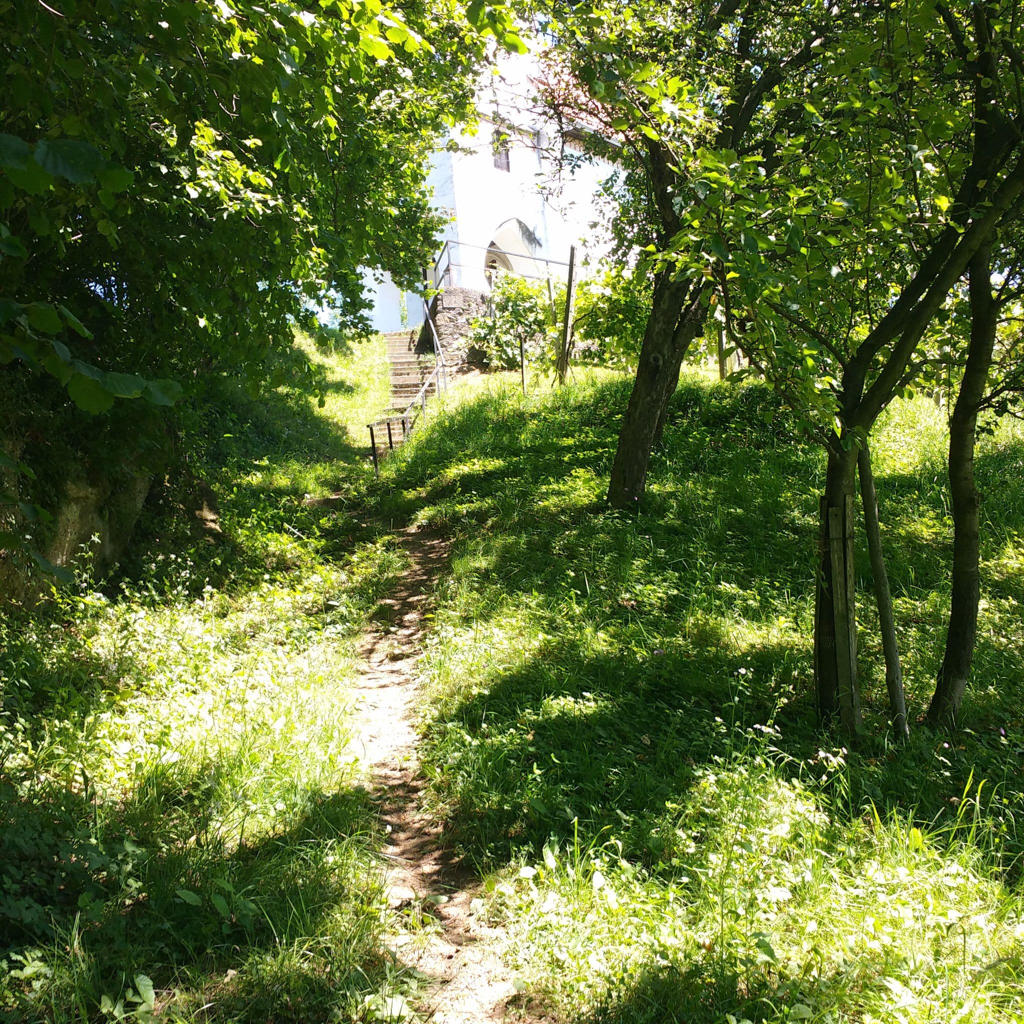 Street view near Gasthof Georglwirt, Gleinstätten — © hermannmucke (CC BY-SA · Mapillary)