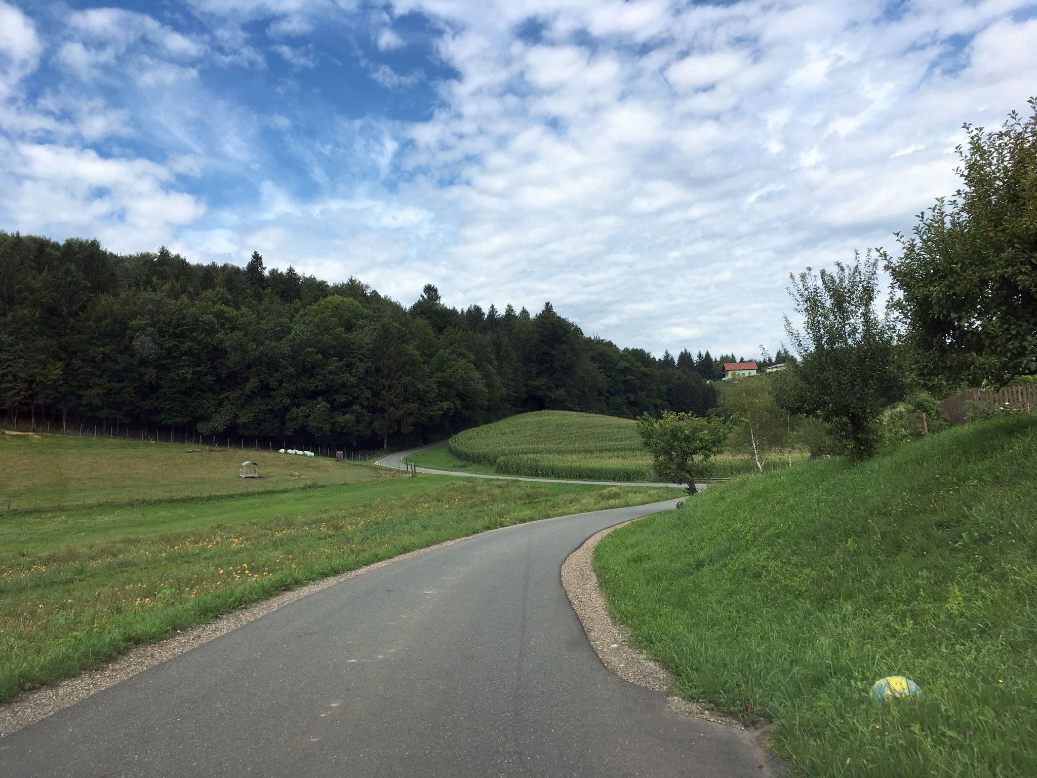 Street view near Martin Stiendl, Gleinstätten — © istefanos (CC BY-SA · Mapillary)