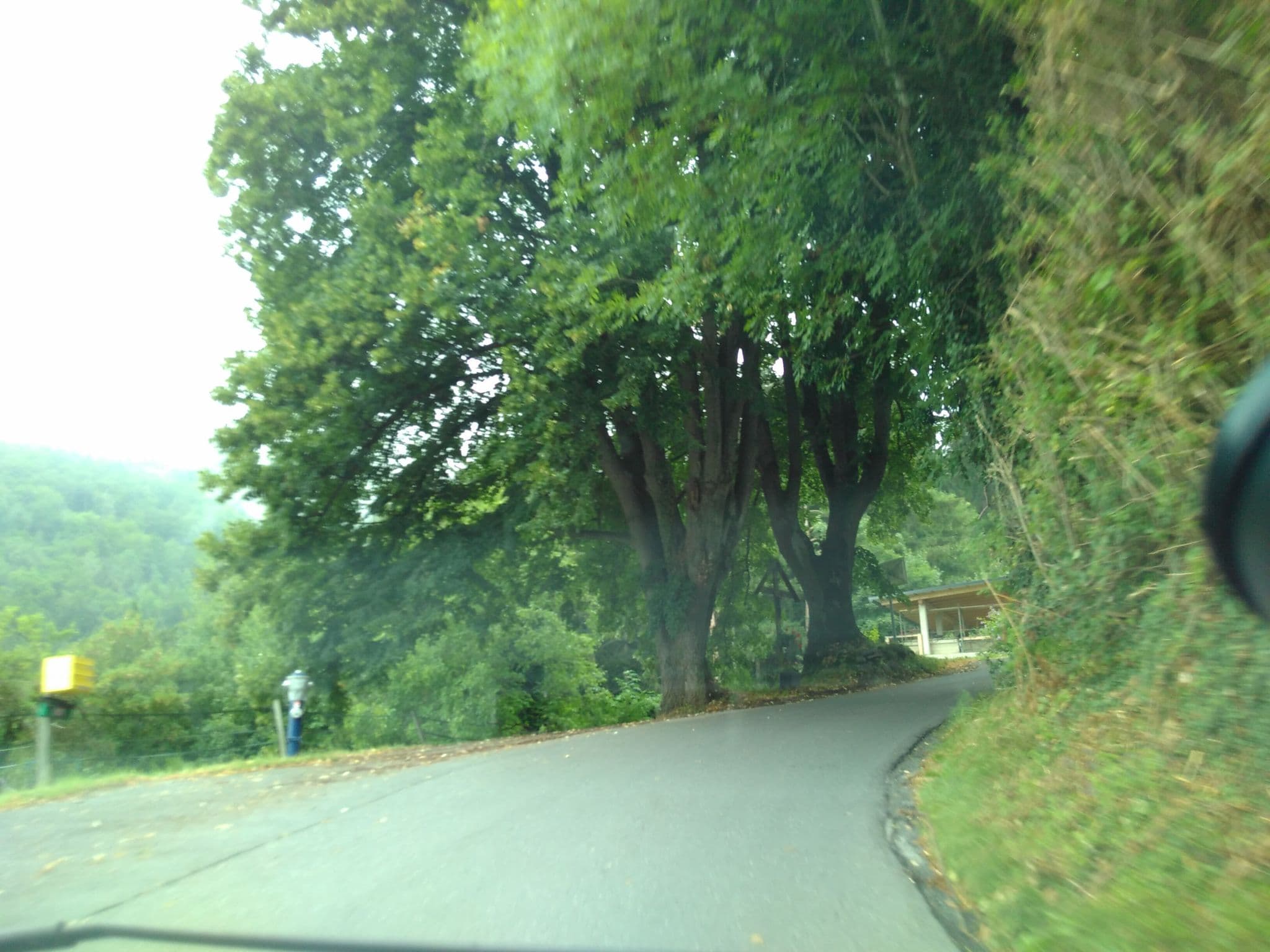 Street view near Landhaus Kniepass, Andritz — © tobiaso (CC BY-SA · Mapillary)
