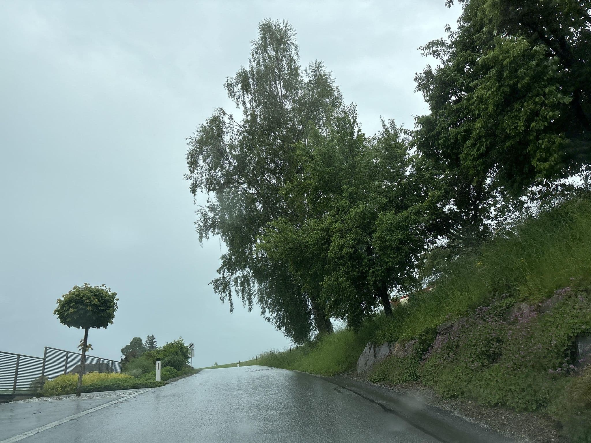 Street view near Bauernhof Grieshans, Passail — © Bianca_Luger (CC BY-SA · Mapillary)